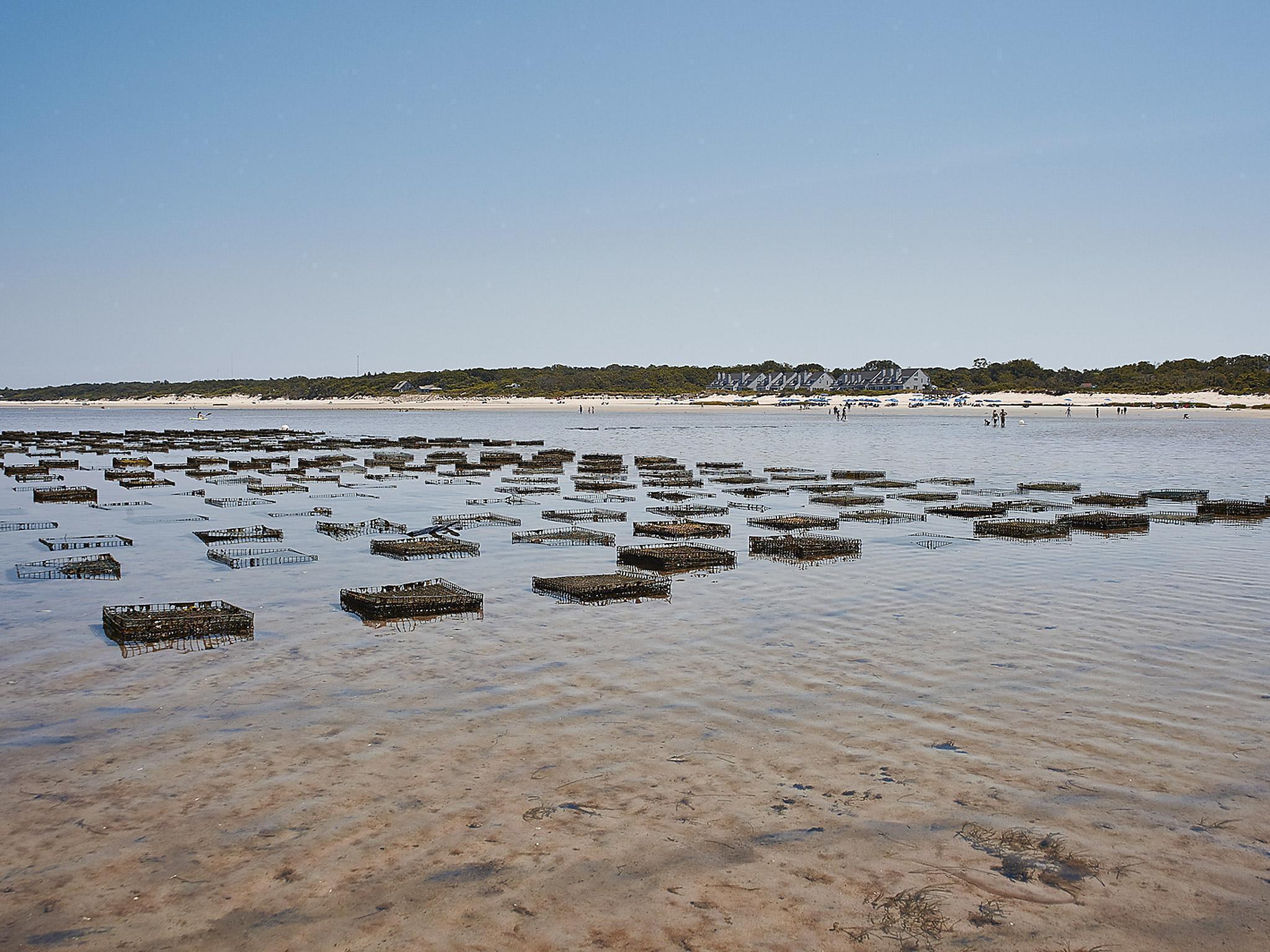 Cape Cod, Massachusetts