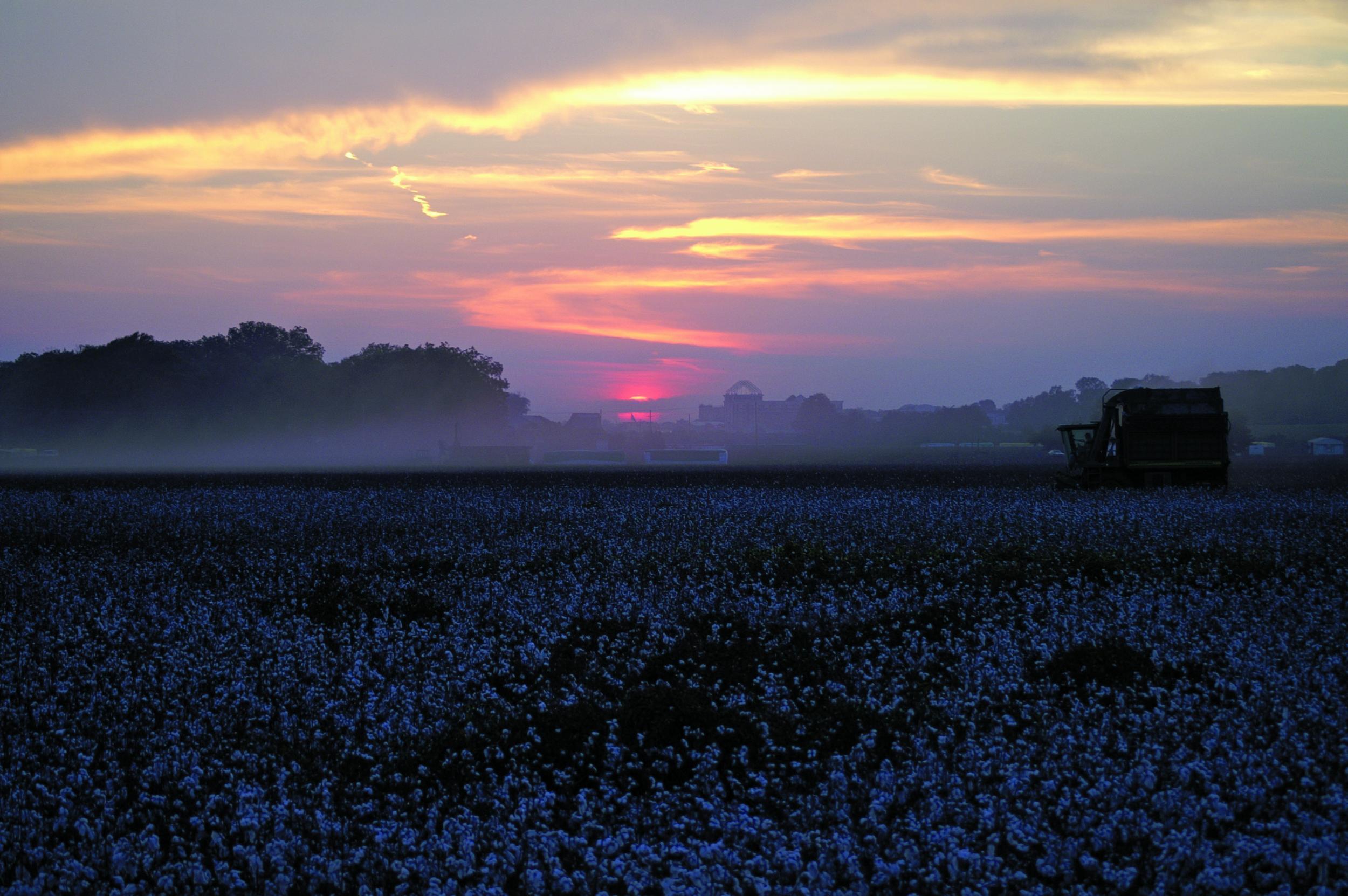 A haunting sunset in the Deep South, where ghost stories are in abundance