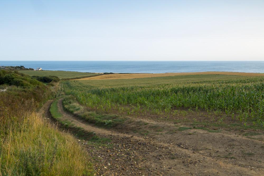 Dunsbury Farm was recently acquired by the National Trust (National Trust Images/John Millar)