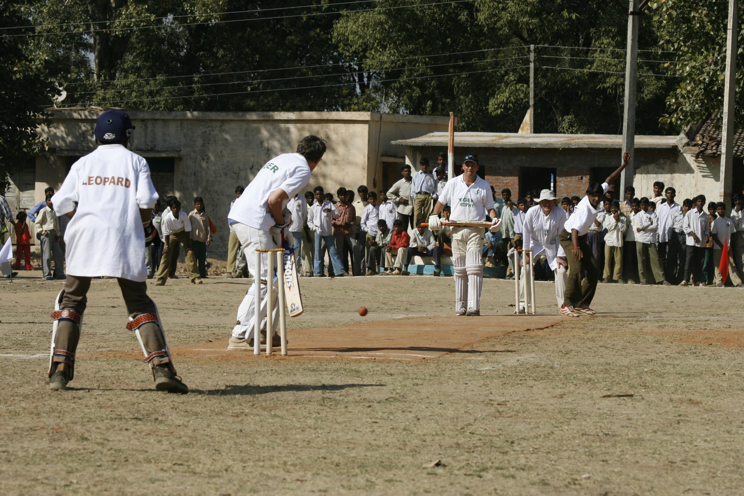 Don't be caught out: British tourists warned cricket and drink don't mix