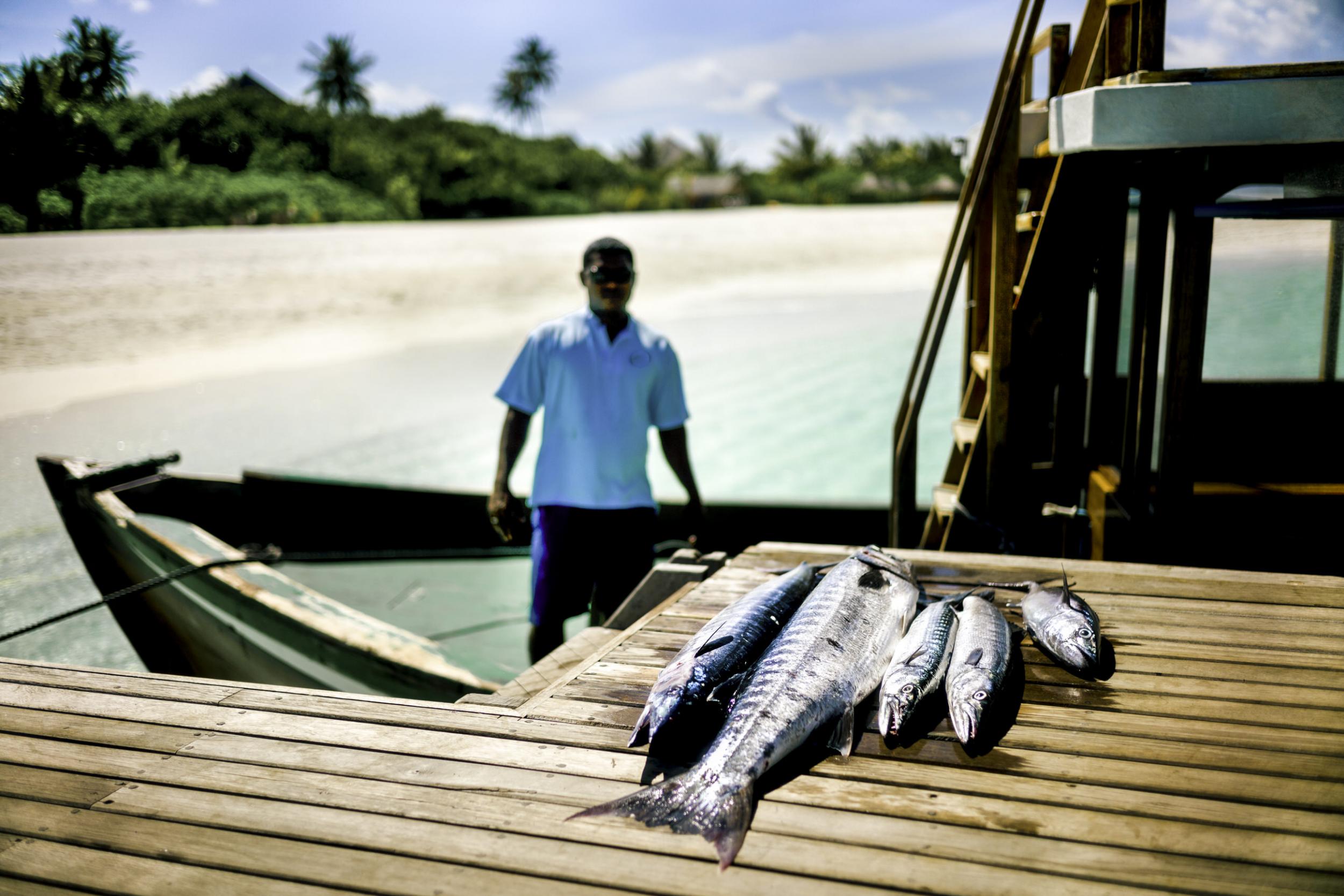 A good haul from one of the resort's staff (Photo: Alan Schaller/The Independent)