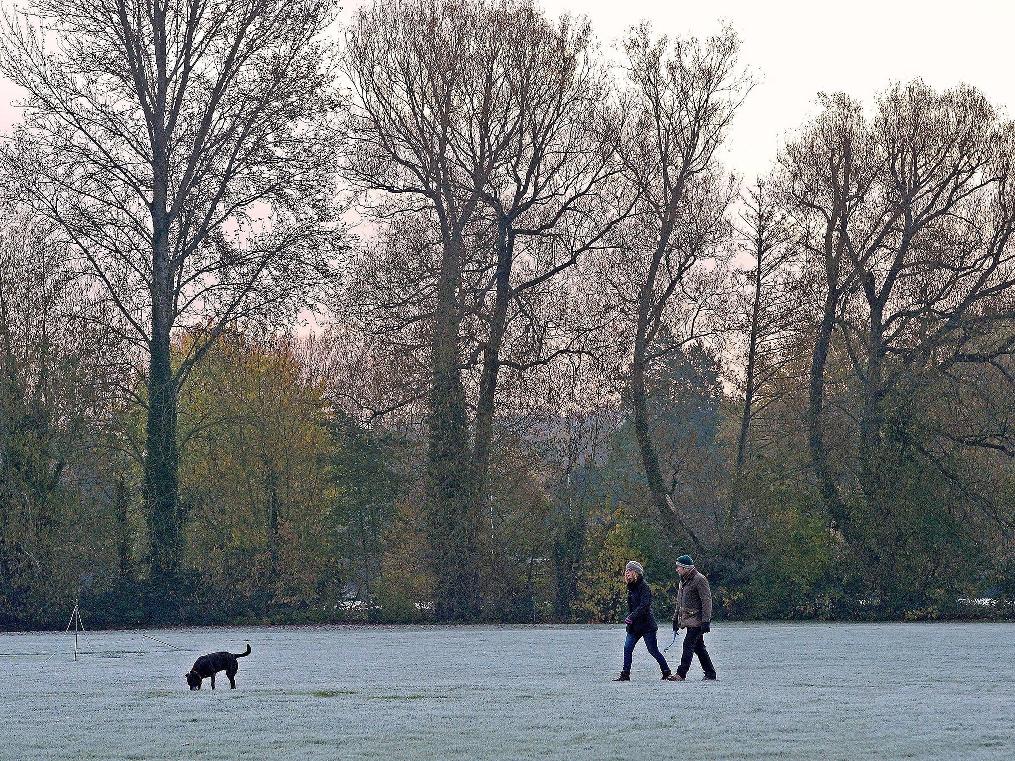 People walk their dog on frost covered grass in Winchester's North Walls Recreation Ground as temperatures drop