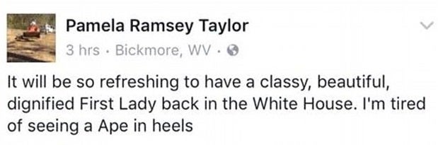 Pamela Ramsey Taylor posted the 'racist' comment to social media