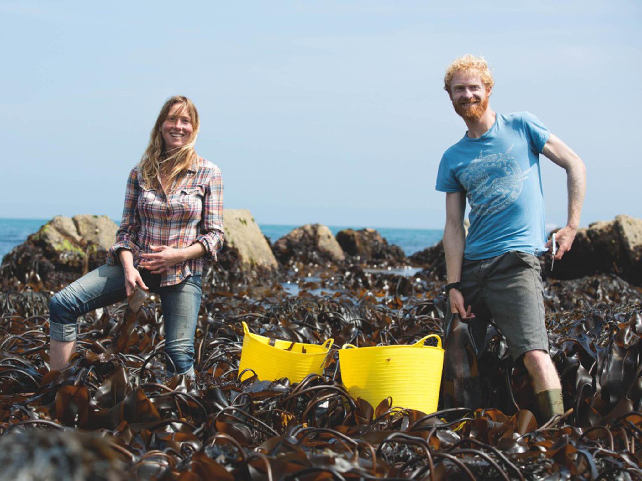 Caro Warwick-Evans and Tim Van Berkel helped to draw up a code of conduct for harvesting