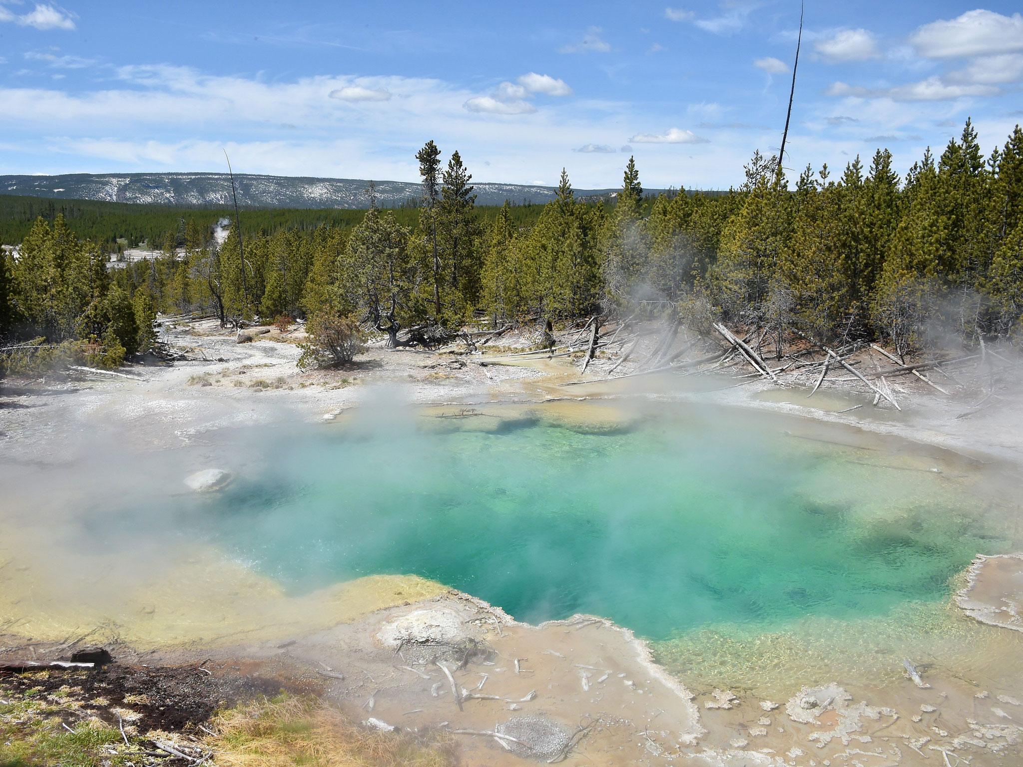 A hot spring at the Norris Geyser Basin Mladen Antonov/Getty