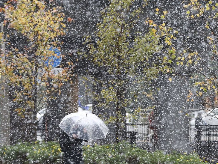 A man walks in the snow in Tokyo