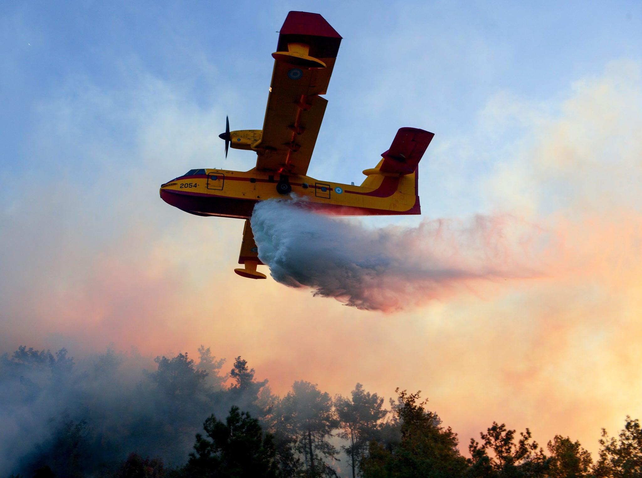 Eight countries, including Russia, sent firefighter planes to help combat the wildfires