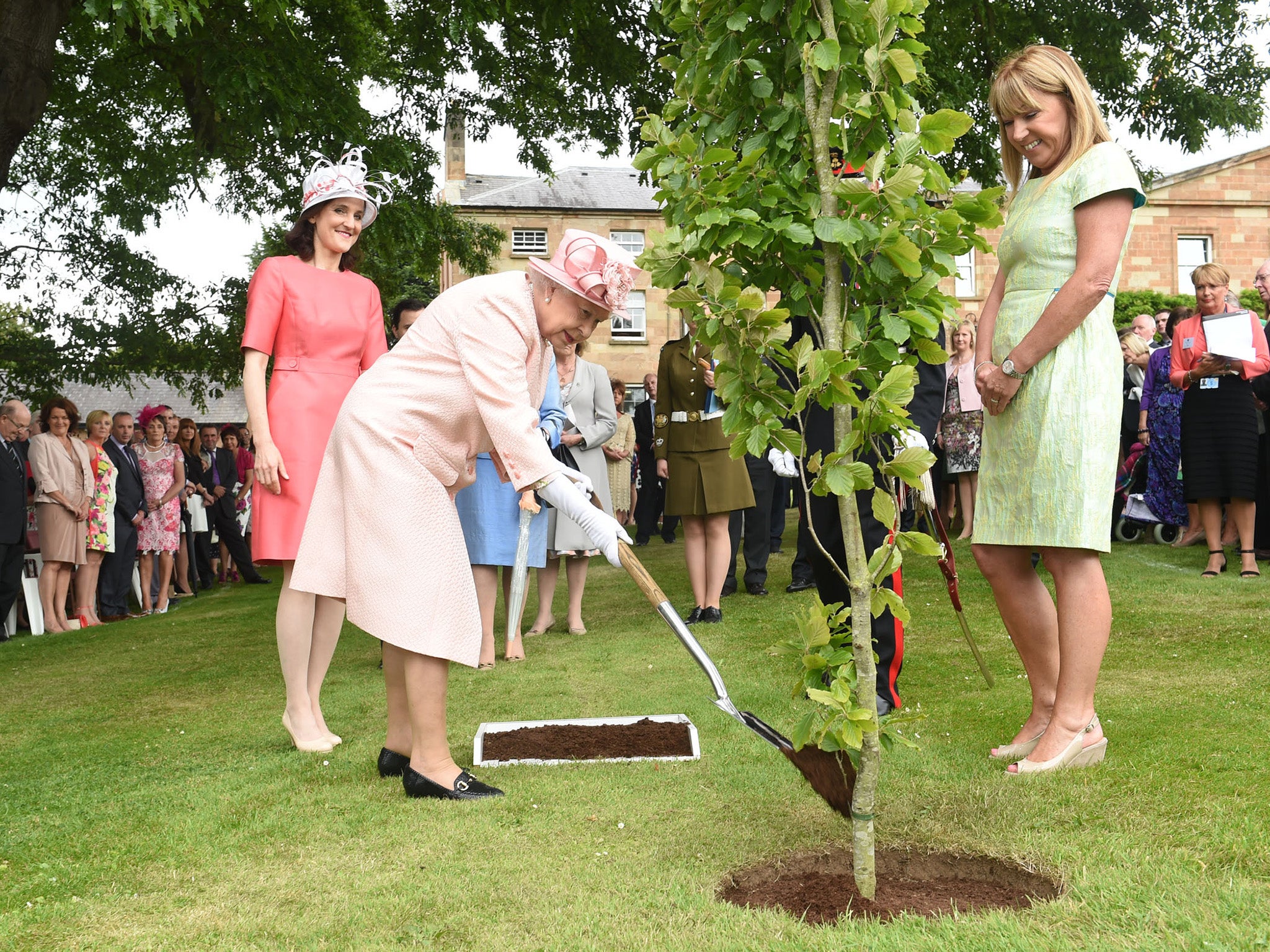 The government has only managed to plant 1.35m trees since May 2015