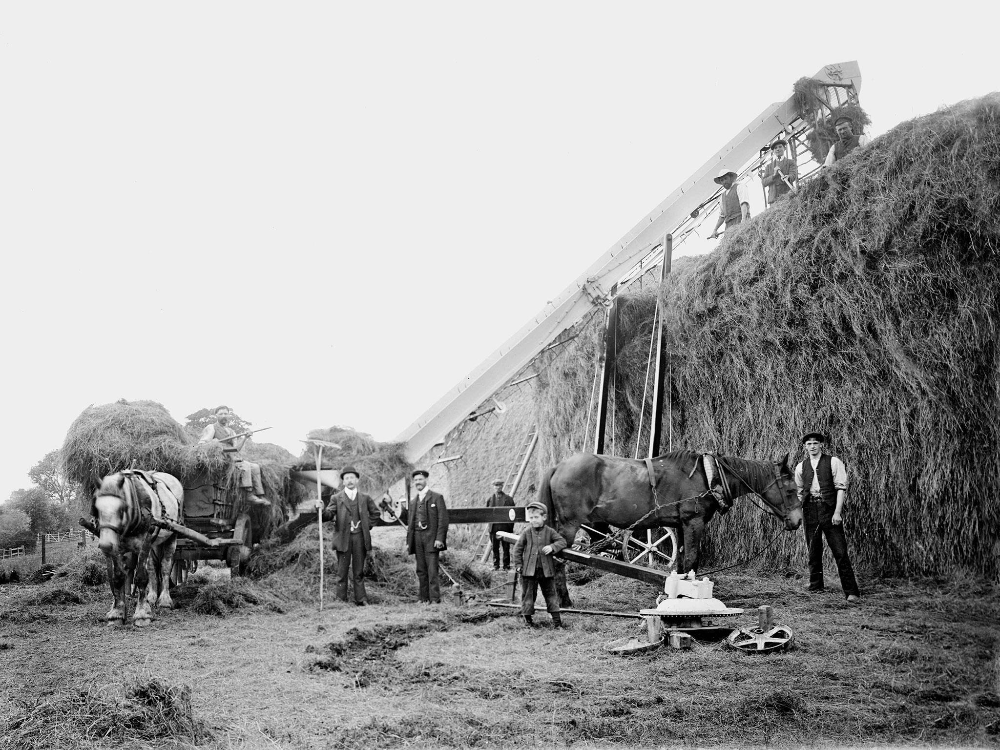 Mechanised farming in Hellidon, 1902