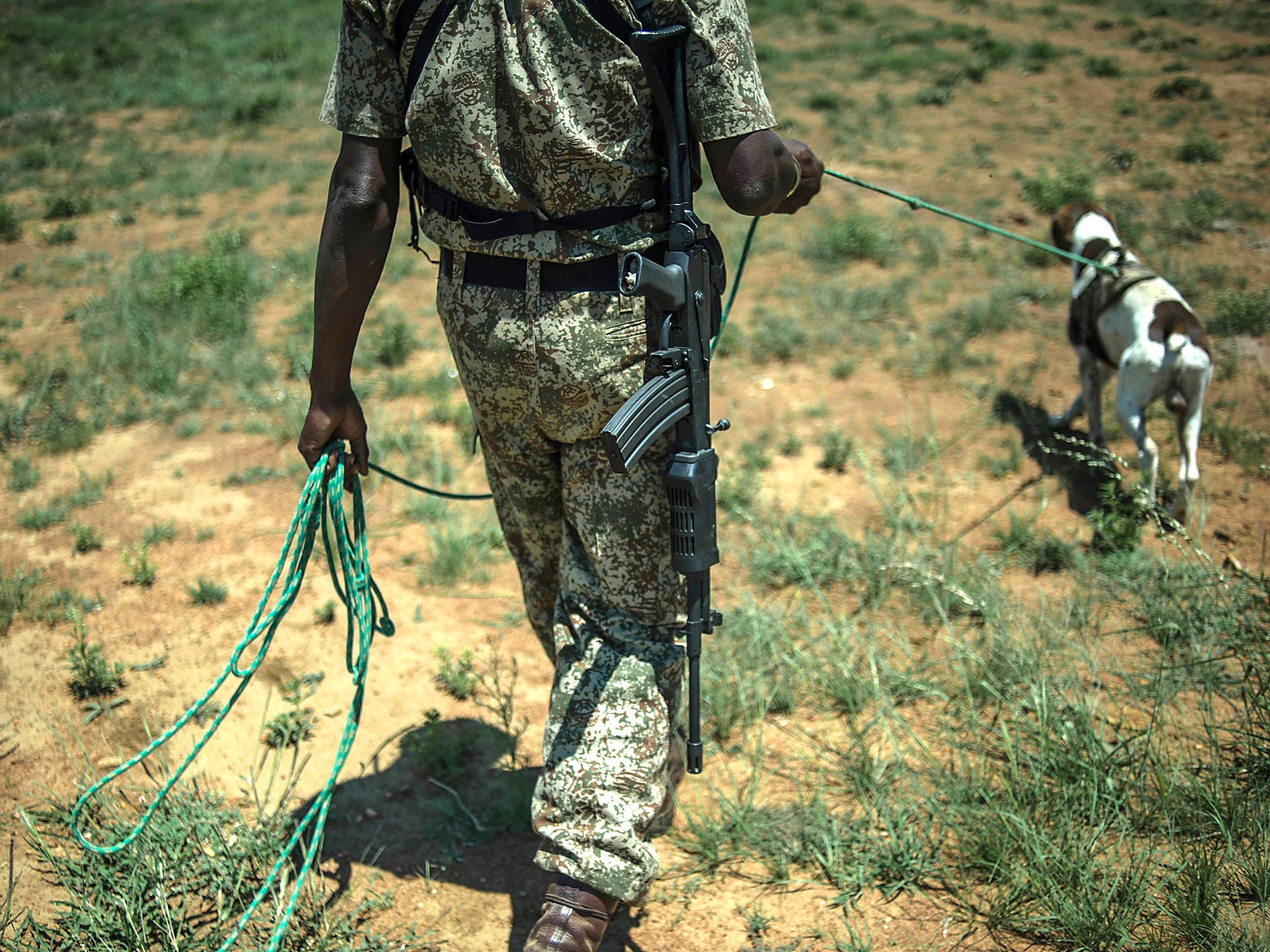 Anti-poaching rhino unit patrols at John Hume's Rhino Ranch in Klerksdorp, in the North Western Province of South Africa