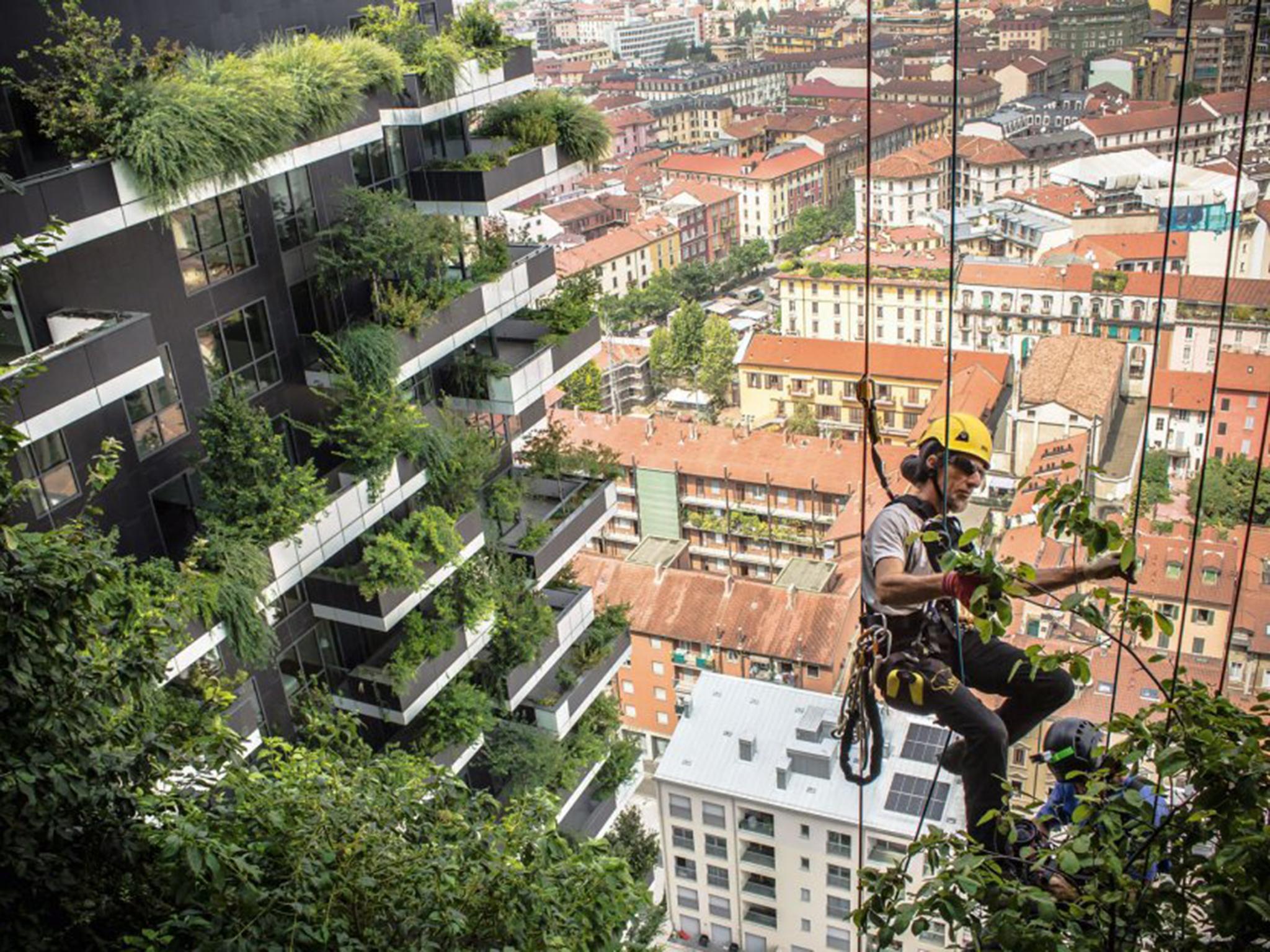 The Vertical Forest in Milan by Stefano Boeri