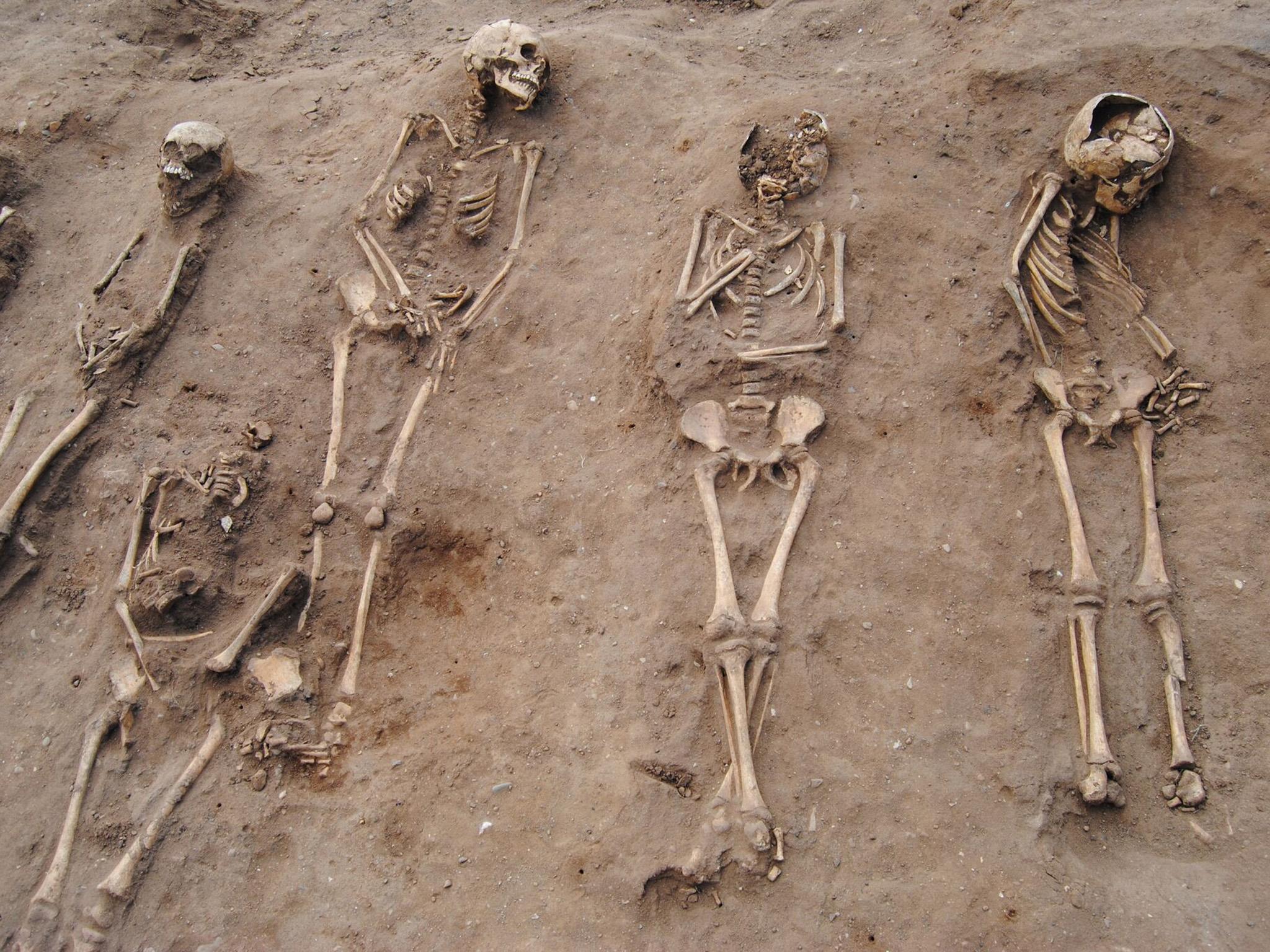 The mass burial, where more than half of the skeletons are children, was uncovered at the site of a 14th century monastery hospital