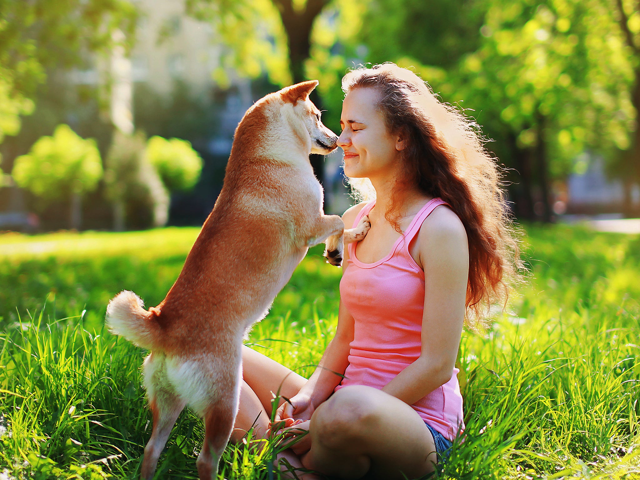 The wider bond between people and dogs has strengthened over time, around 30,000 years to be precise