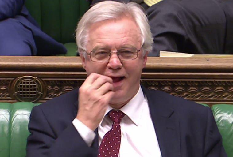 Brexit Secretary David Davis, during this week's Article 50 debate in the Commons