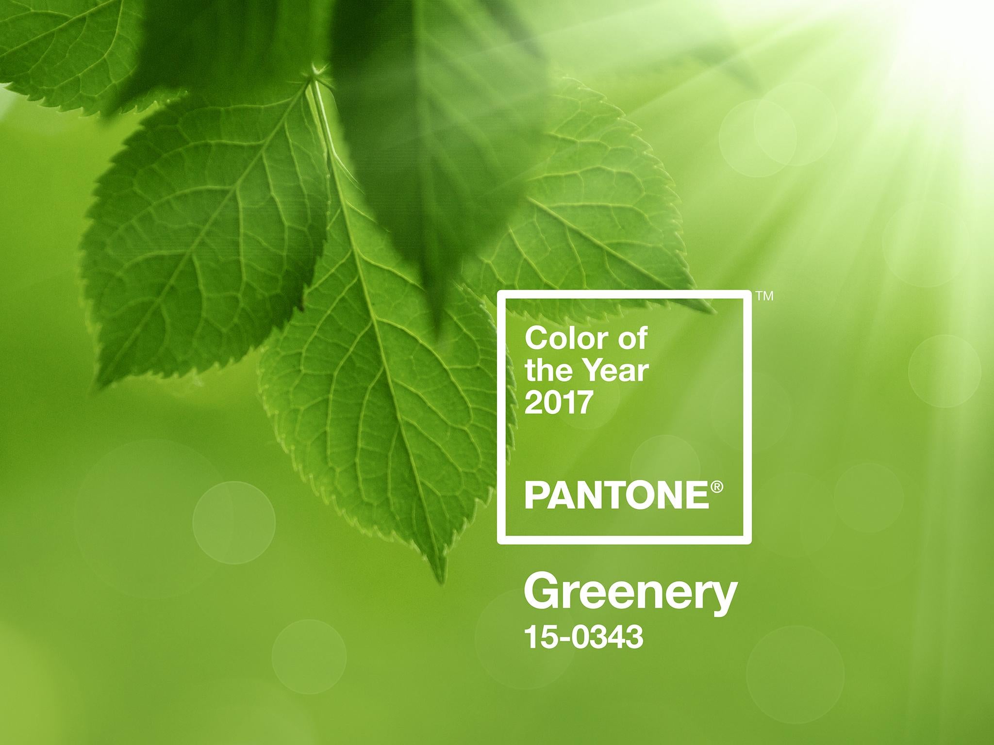 Pantone has declared 'Greenery' as the colour of the year