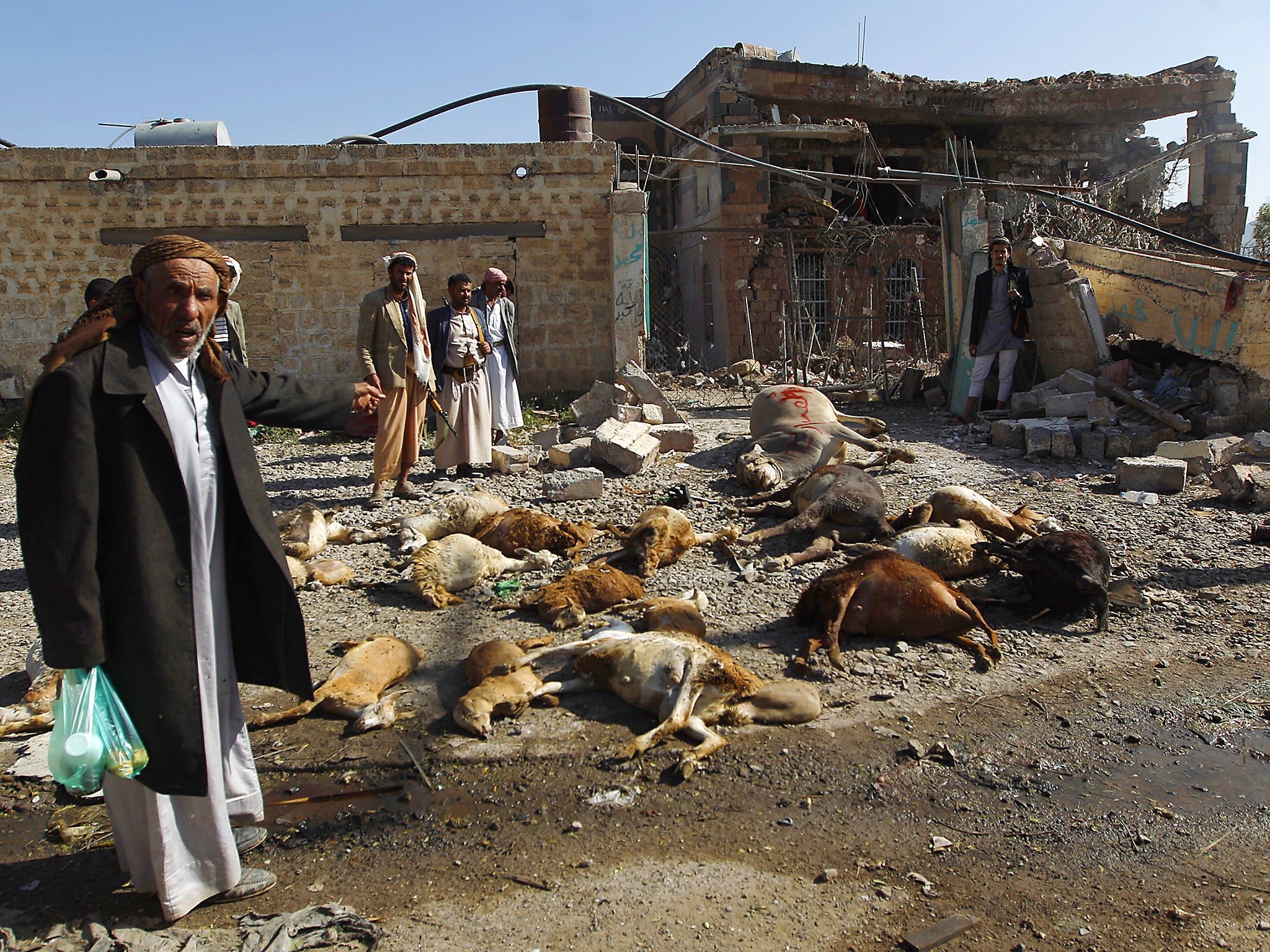 Yemenis stand near dead animals and a destroyed house following a reported airstrike by Saudi-led coalition airplanes in the capital Sanaa