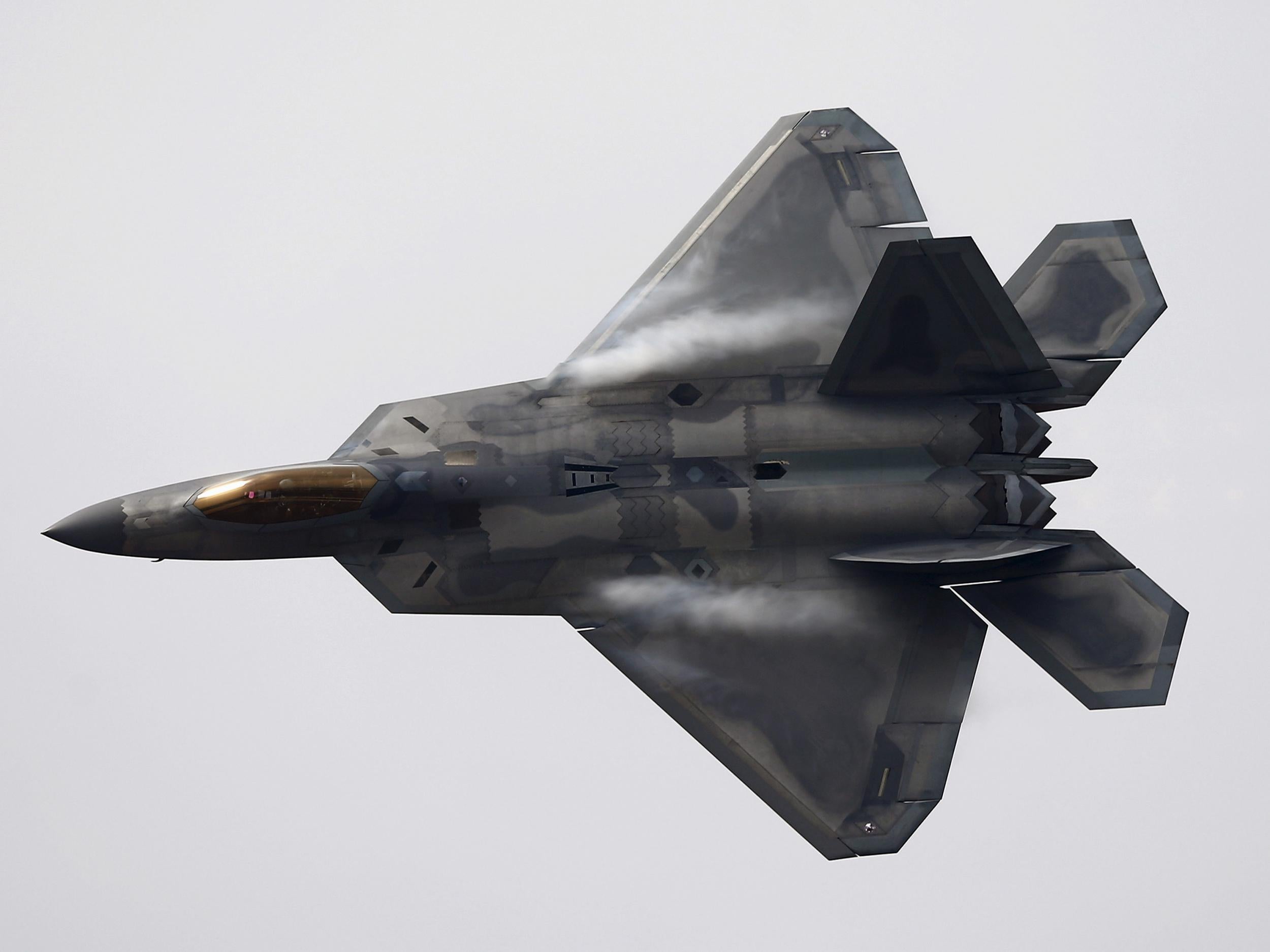 An F-22 Raptor stealth fighter