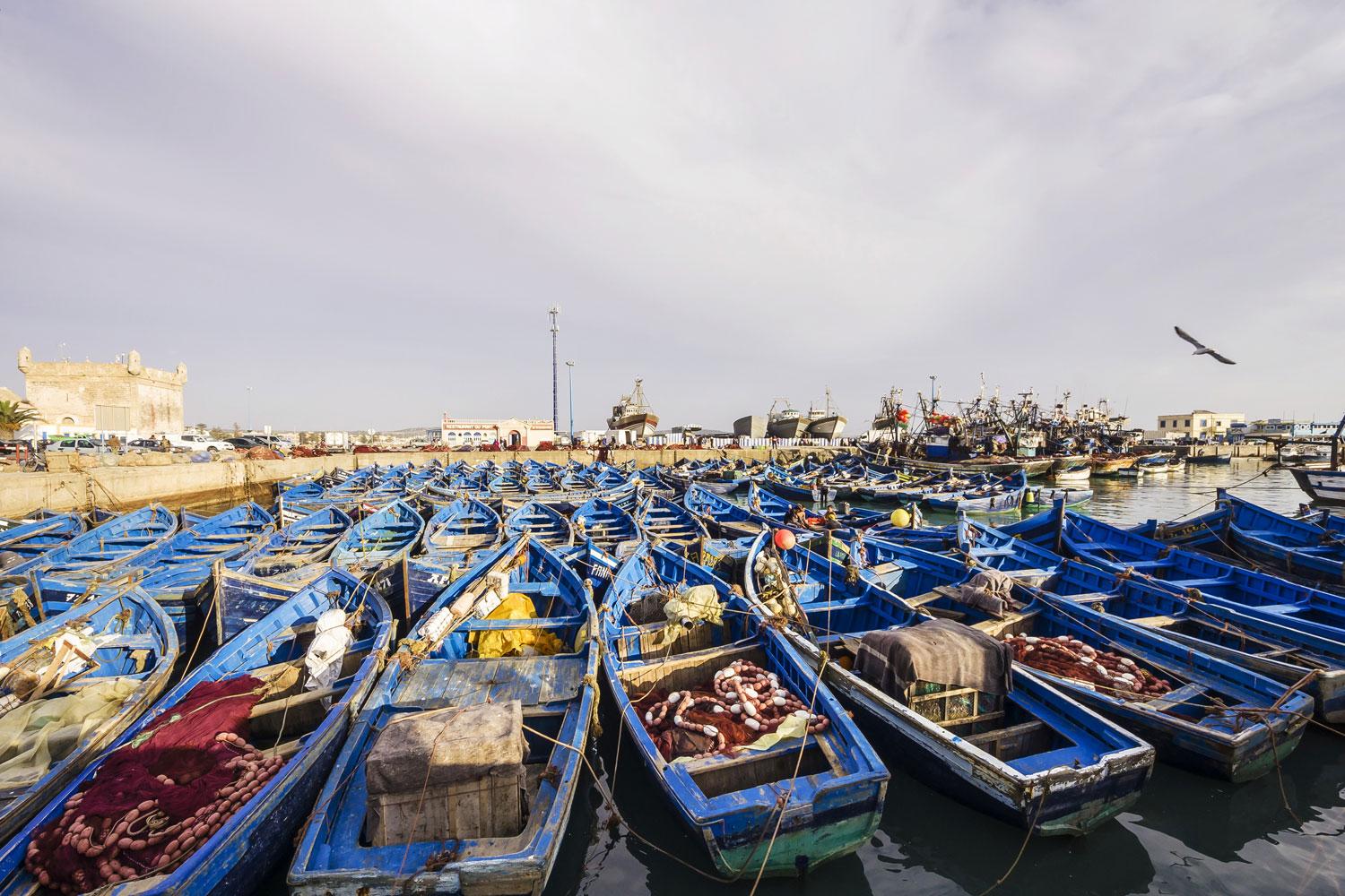 Harbour with fishing boats in Essaouira