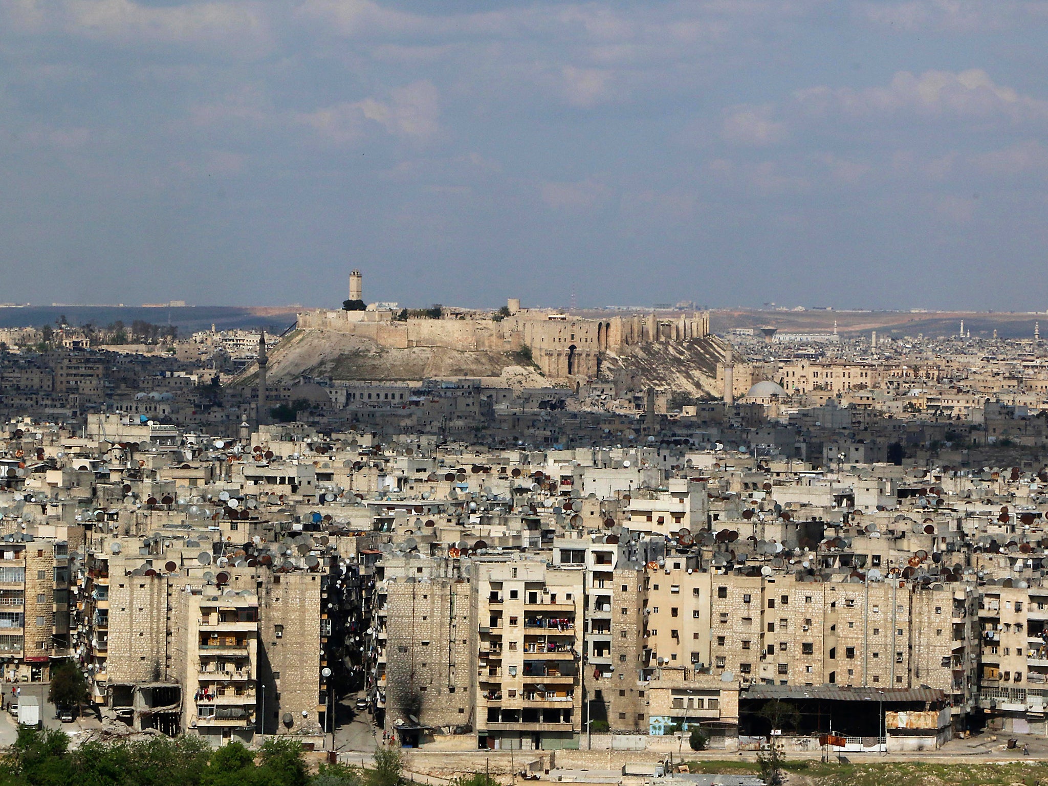 A general view shows the city of Aleppo with its historical citadel