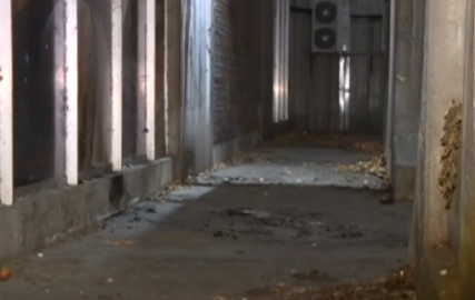 The boy reportedly set the homeless man's mattress alight in the early hours of Wednesday morning, but police have said he will not be prosecuted