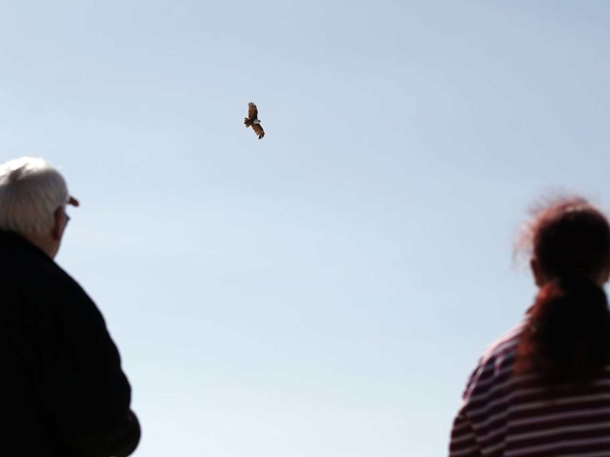 Gordon and Thelma Davies watch an eagle soar overheard. Lynette had adopted the eagle as her emblem in life.