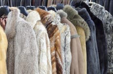 High street store admits some of its 'fake fur' was actually real