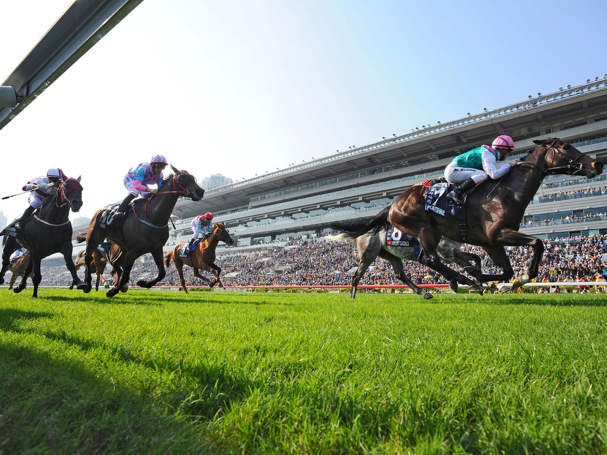 40-year-old jockey Rebecca Black (not pictured) suffered a fatal fall at Gore racecourse in New Zealand