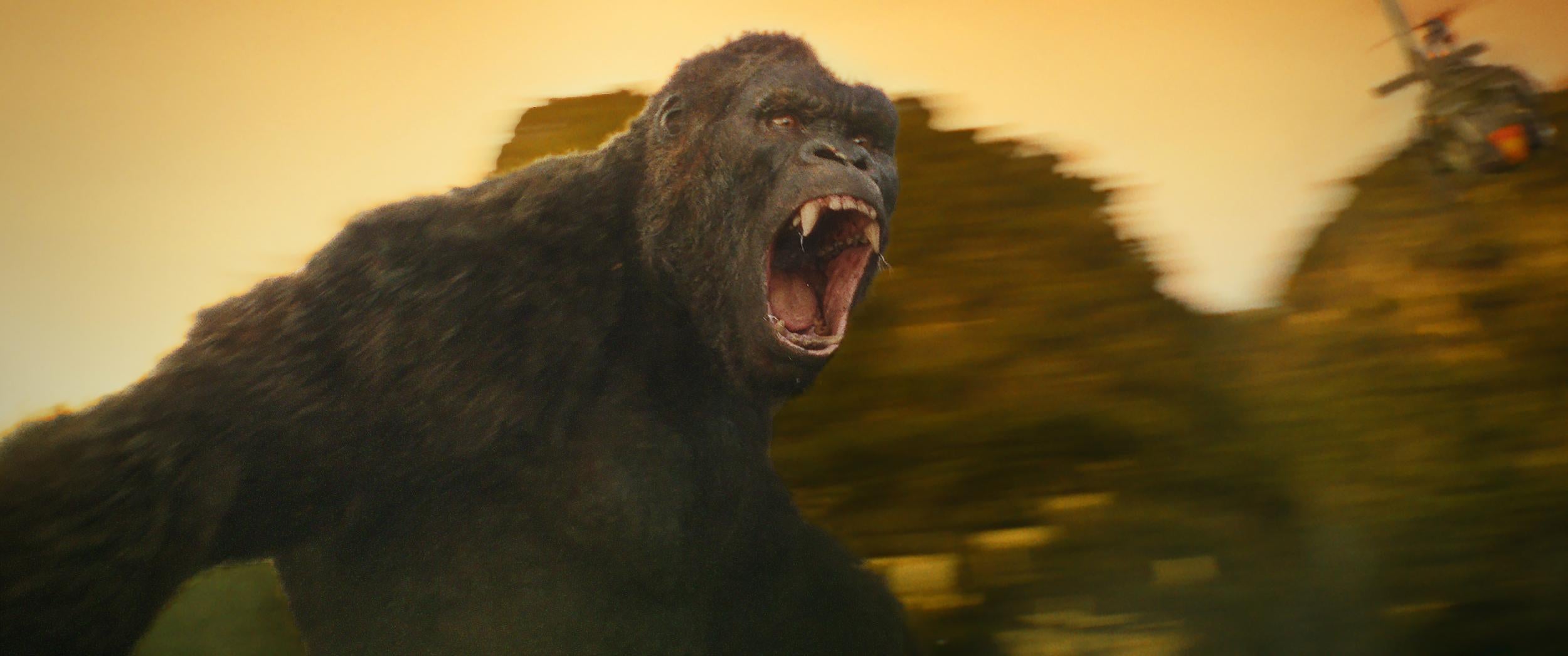 Head to Hawaii for the setting of ‘Kong: Skull Island’