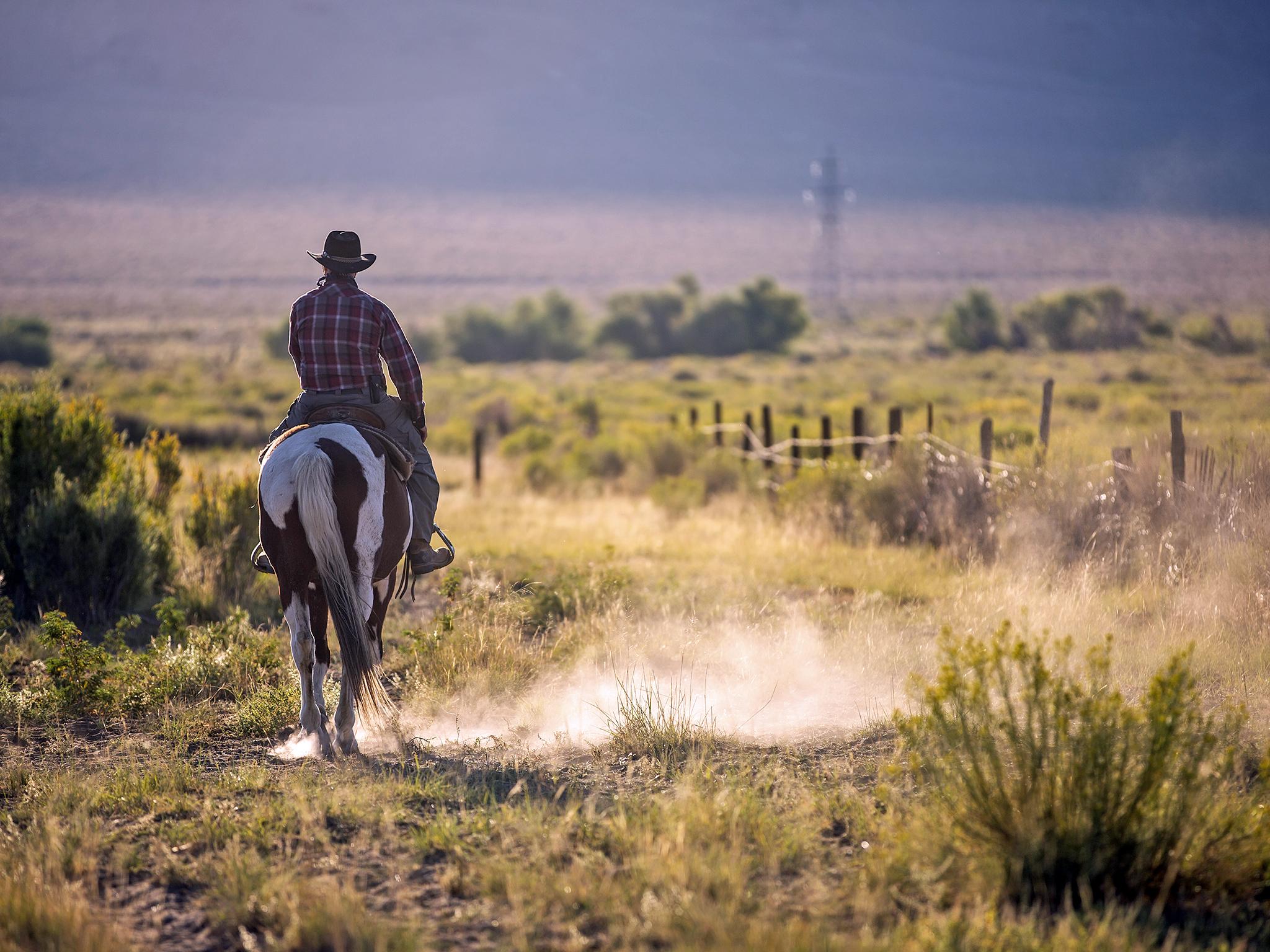 Harold Brown has gone from cattle farmer to devout vegan