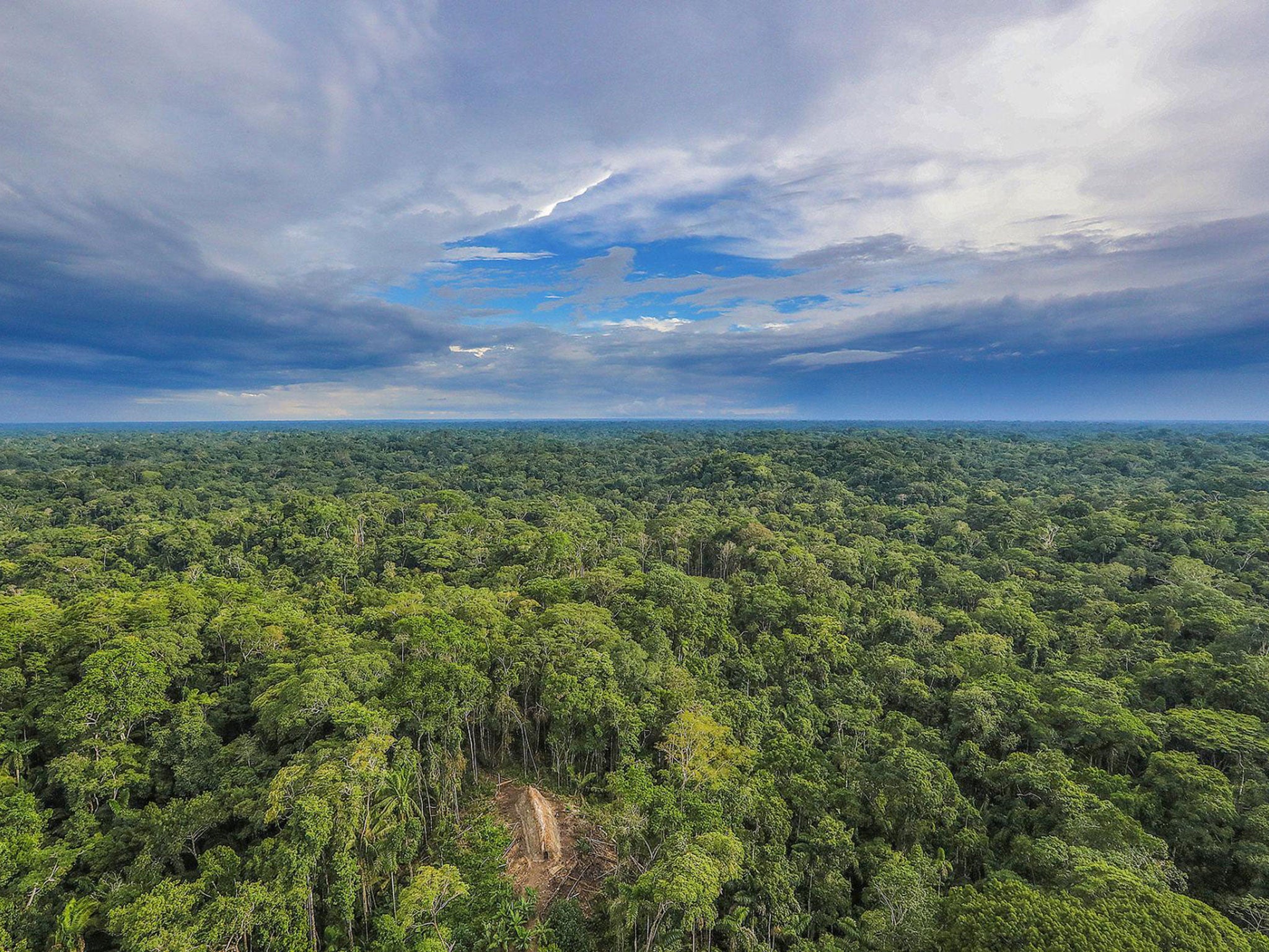 Deforestation was estimated to have increased by 467 per cent year on year in 2014 Ricardo Stuckert