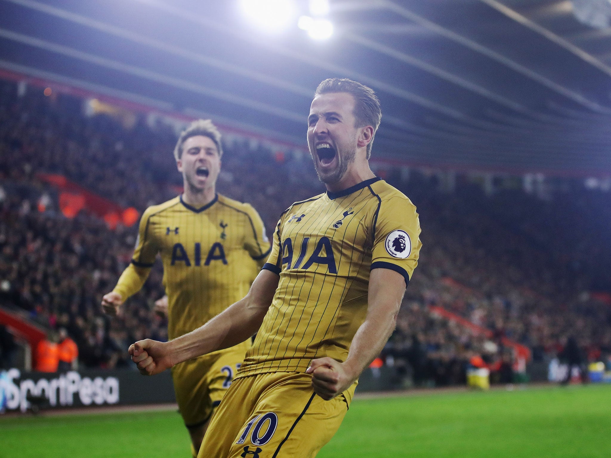 Harry Kane celebrates his goal against Southampton on Wednesday night