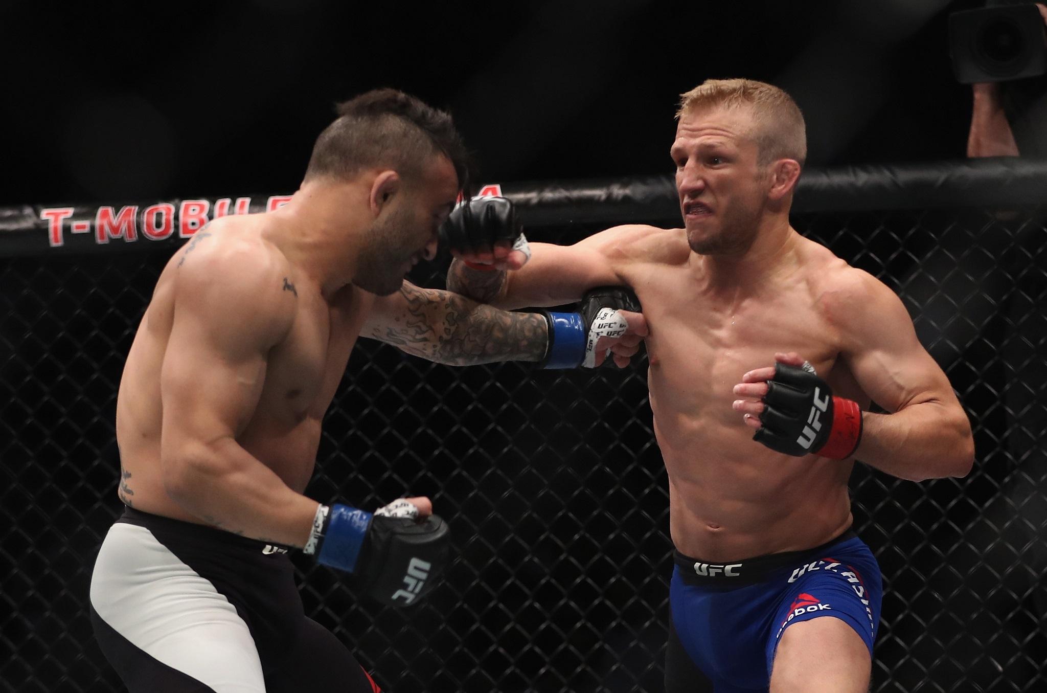 Dillashaw is attempting to win his title back