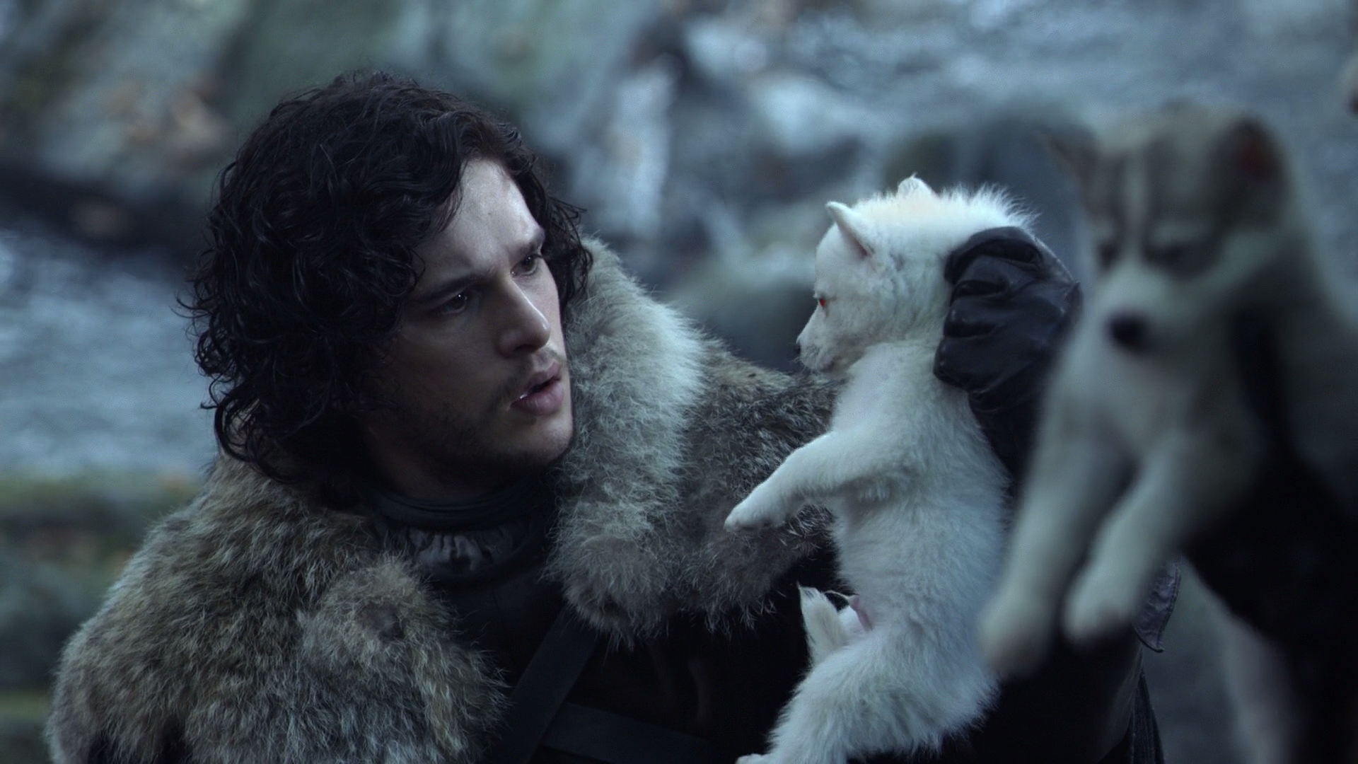 Jon Snow with Ghost