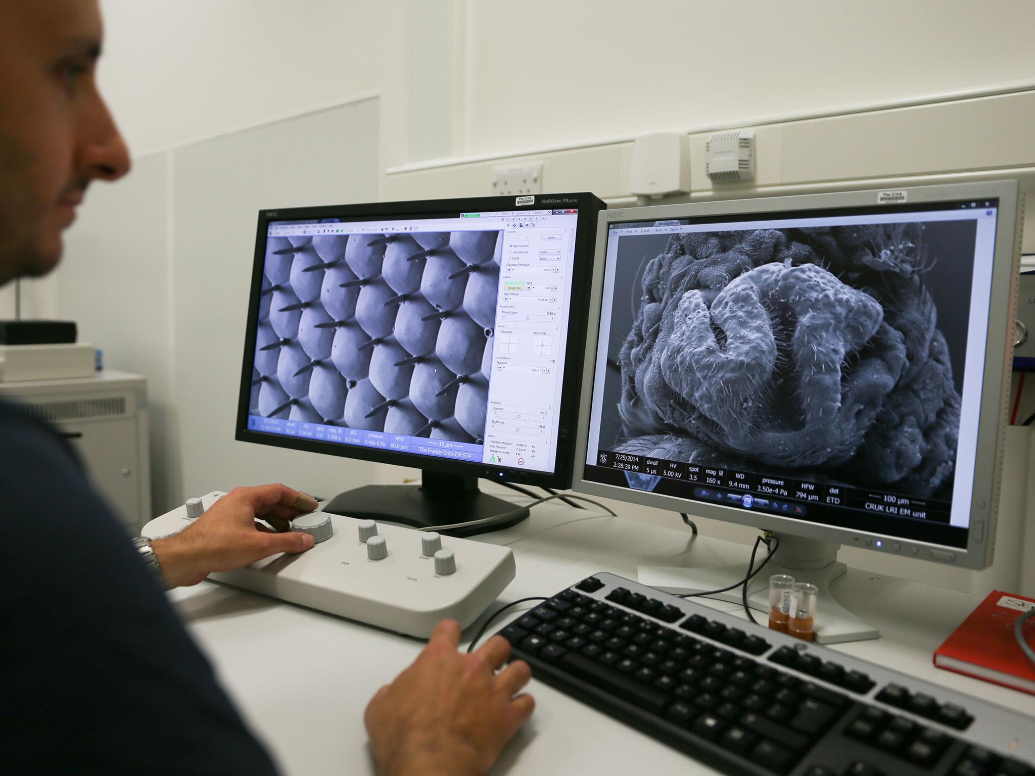 Scientists have already begun working in the new Crick Institute building