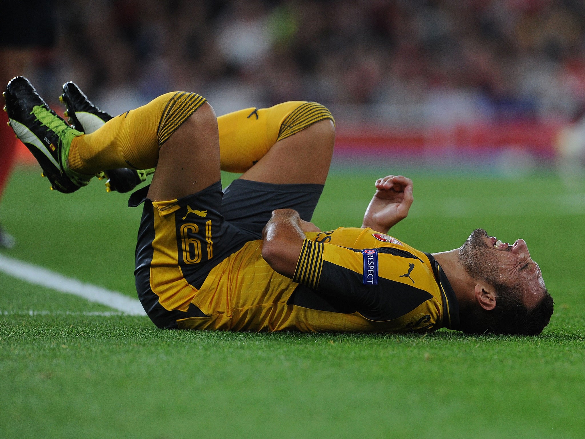 Injuries have limited Cazorla's playing time this season