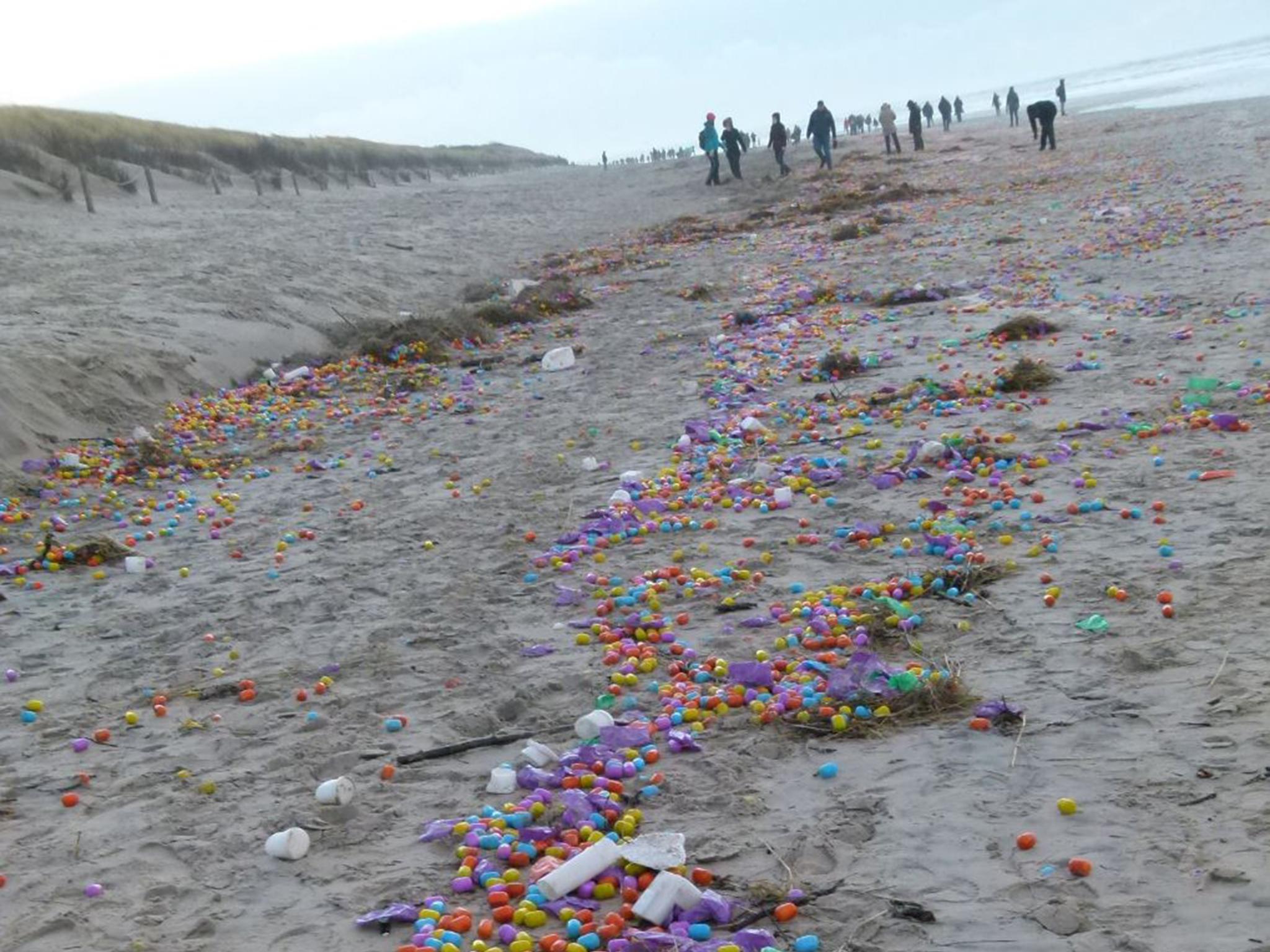 It is believed the eggs came from shipping containers on a large cargo boat from China