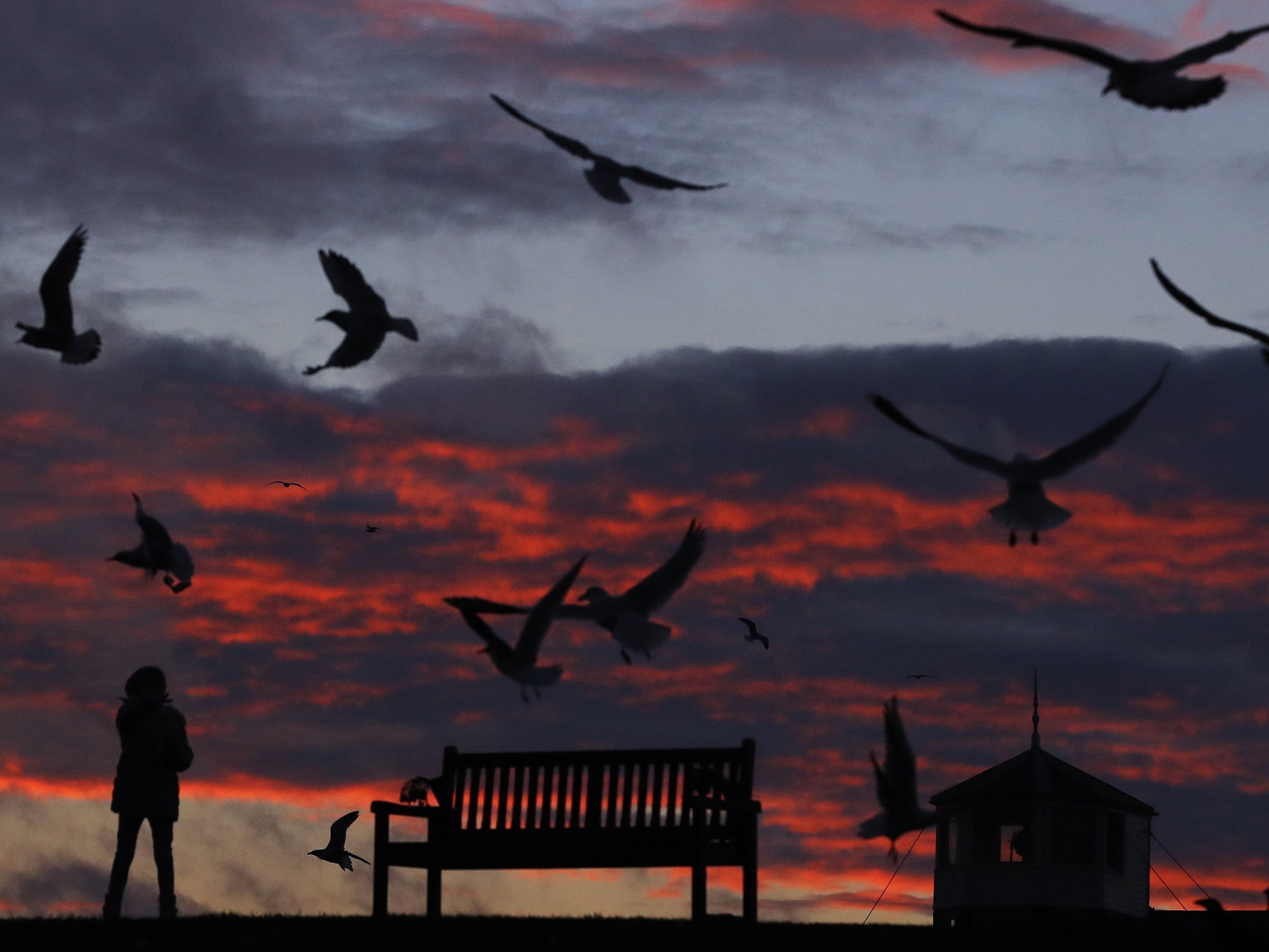 Gulls over Tynemouth in Tyne and Wear at sunset as most of the UK could see snow with Arctic air moving south and winds pick up towards the end of the week