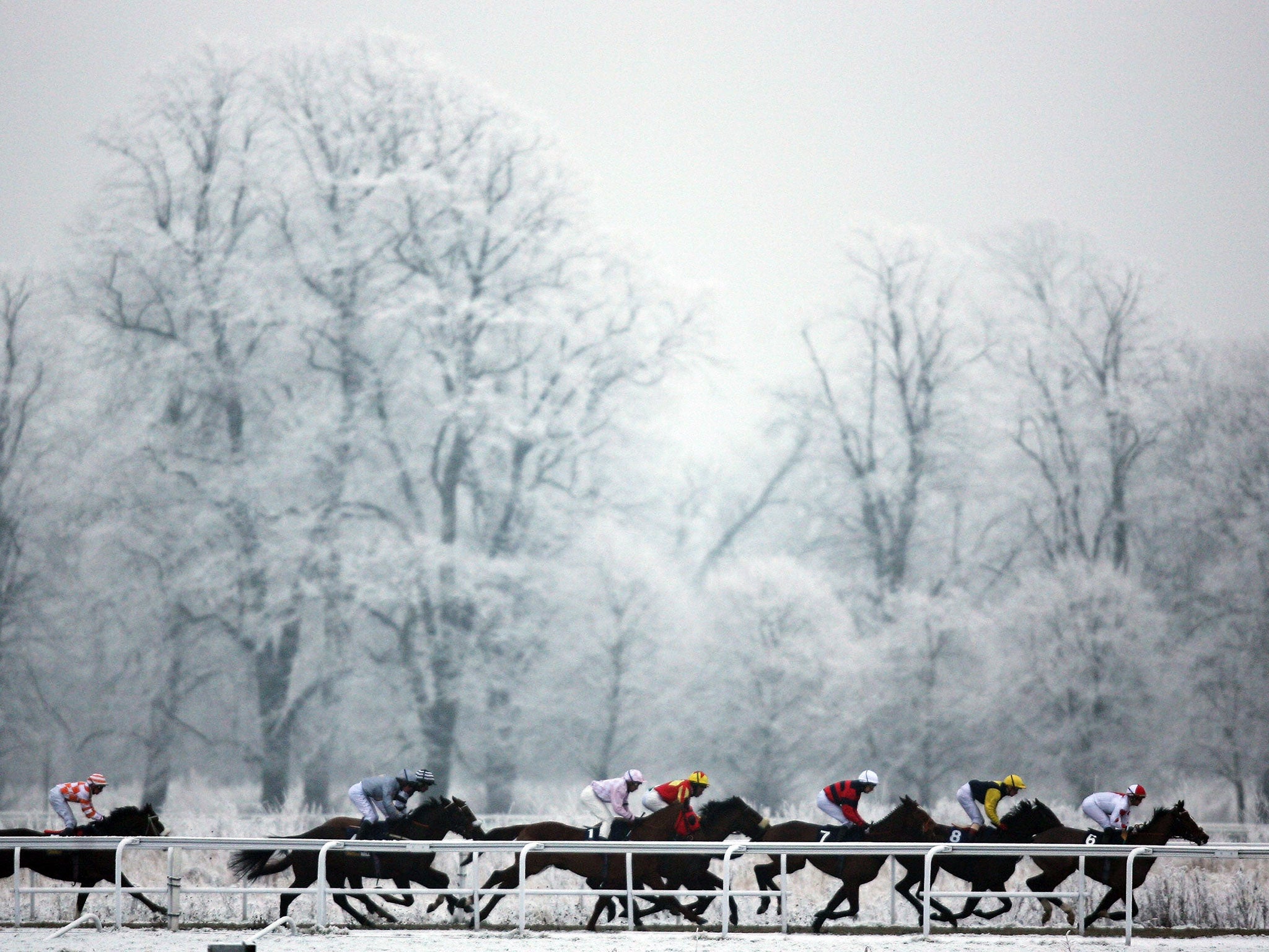 A new all-weather venue is likely to be built at Newmarket