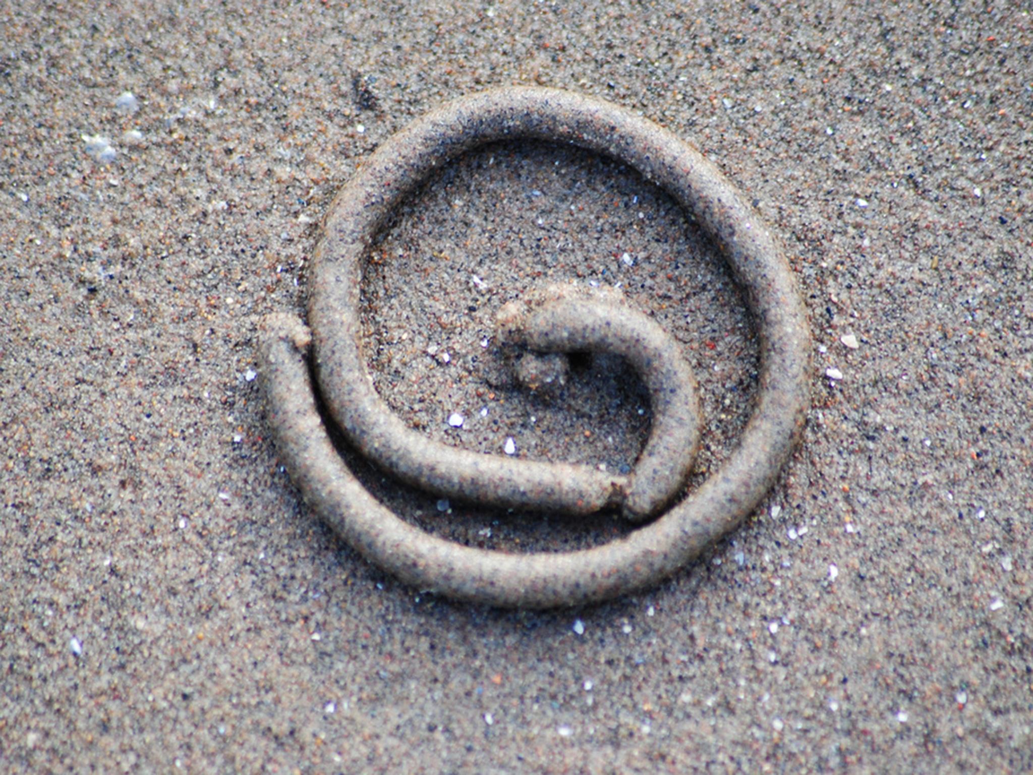 Anglers and local authorities are sometimes at loggerheads over bait digging