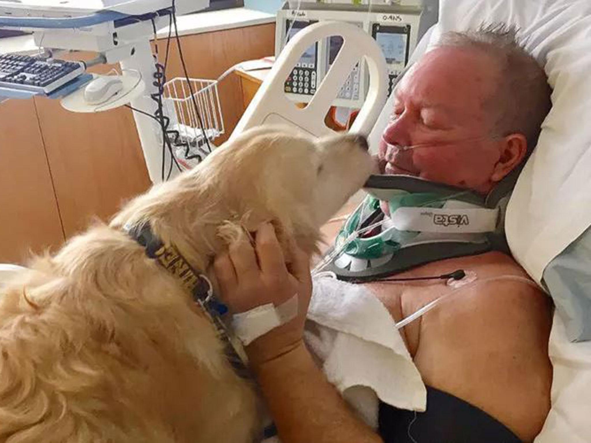 Bob and his dog Kelsey, which kept him alive after he broke his neck in snowy conditions (McLaren Northern Michigan Hospital )