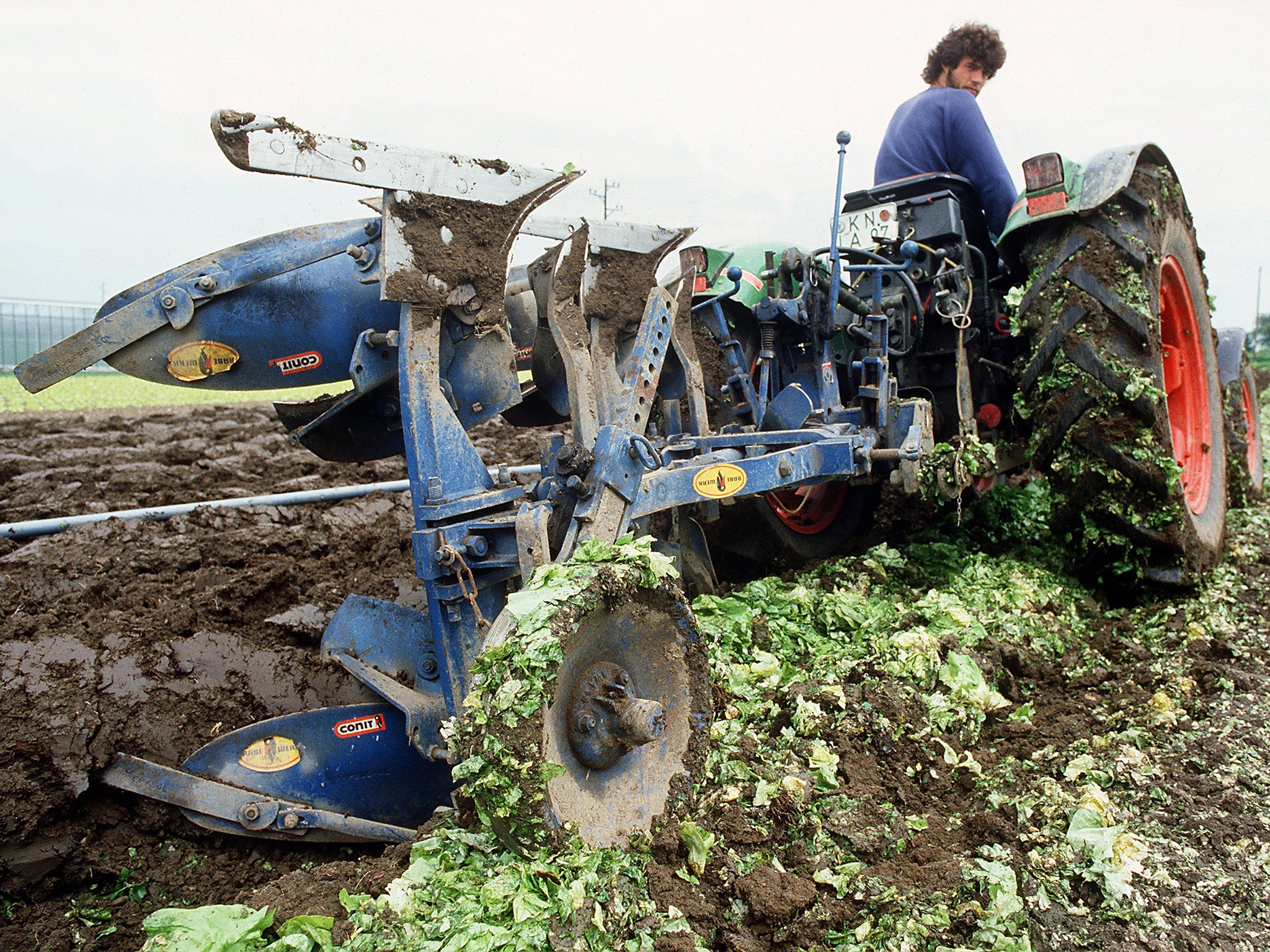 The Chernobyl disaster of 1986 caused farmers to trash their crops