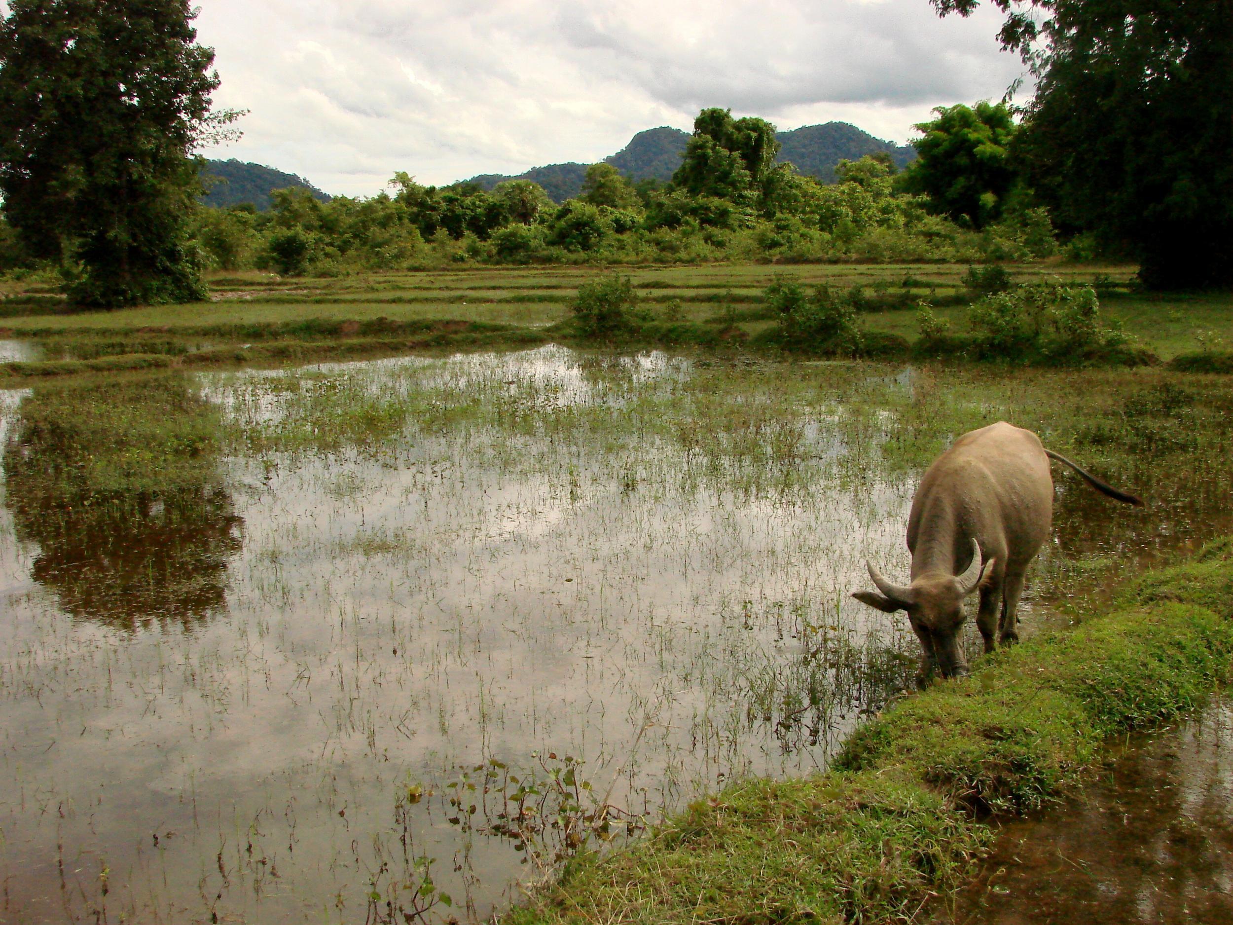 Expect a slow pace of life on Don Det