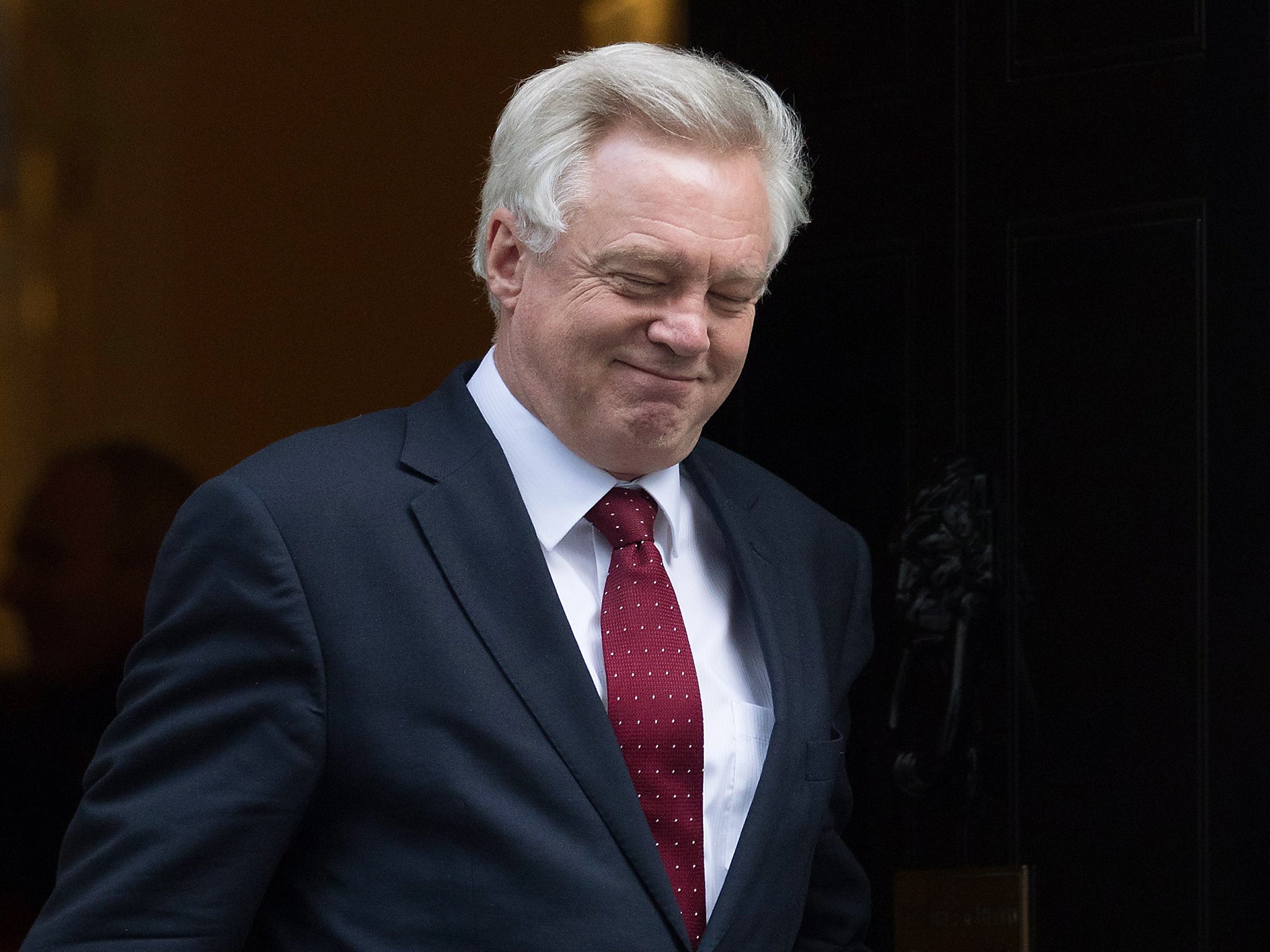 Secretary of State for exiting the European Union David Davis