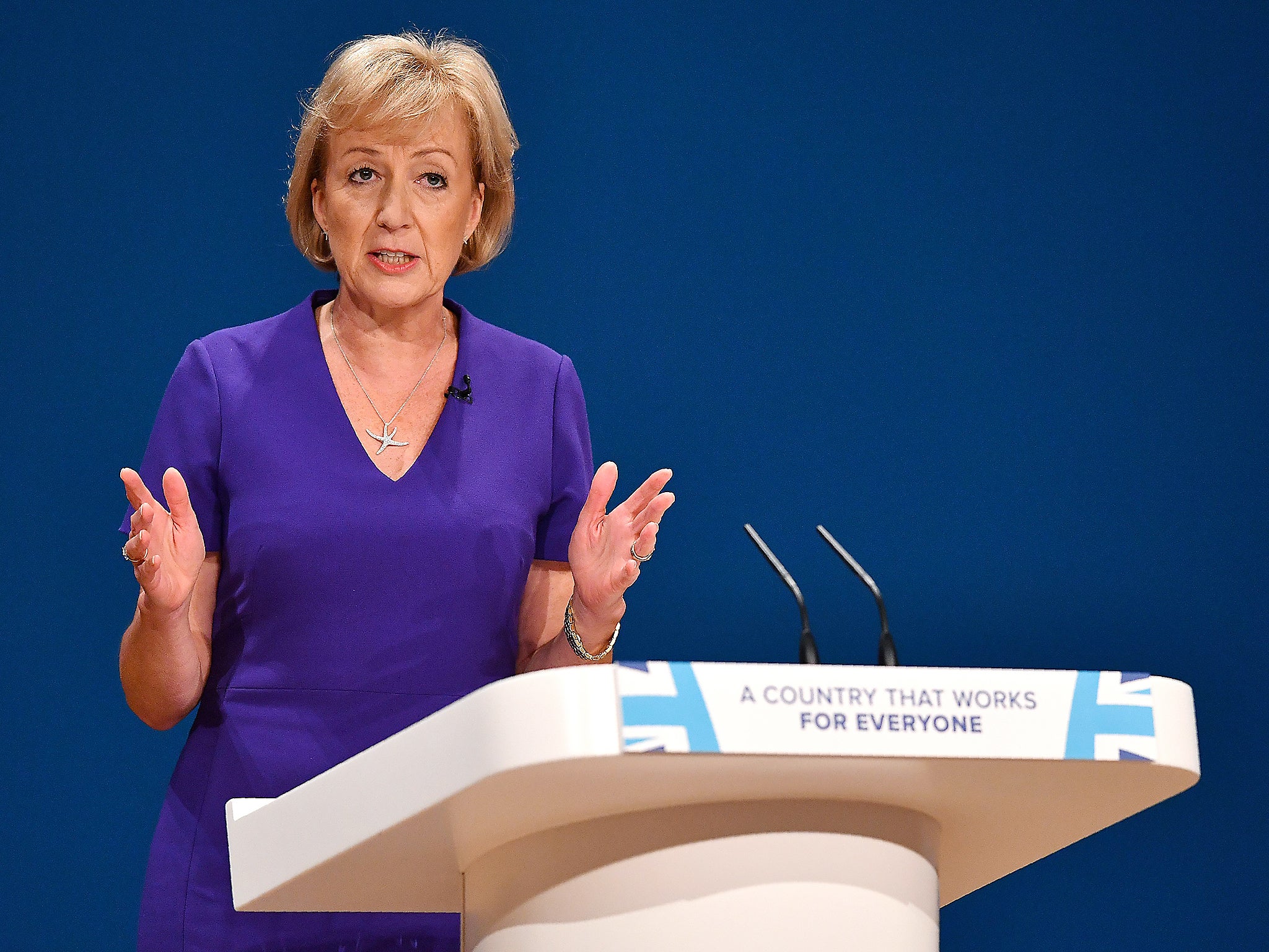 Environment Secretary Andrea Leadsom did not make any statement about the report