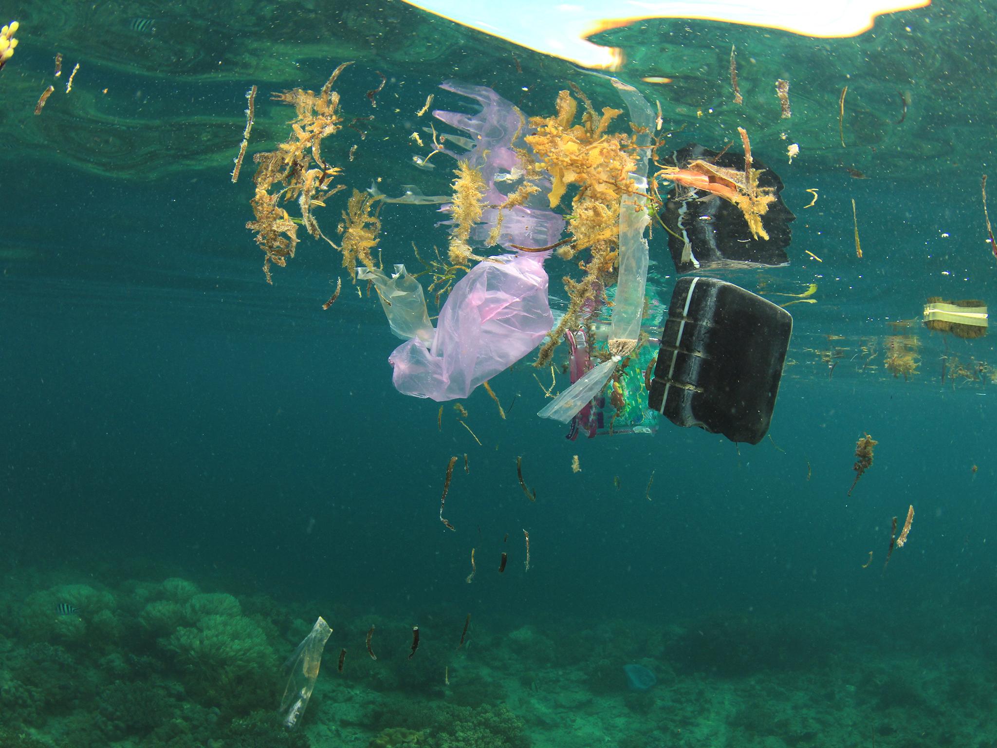 The amount of plastic in the ocean is estimated to be roughly 250,000 square miles which is the same size as Texas