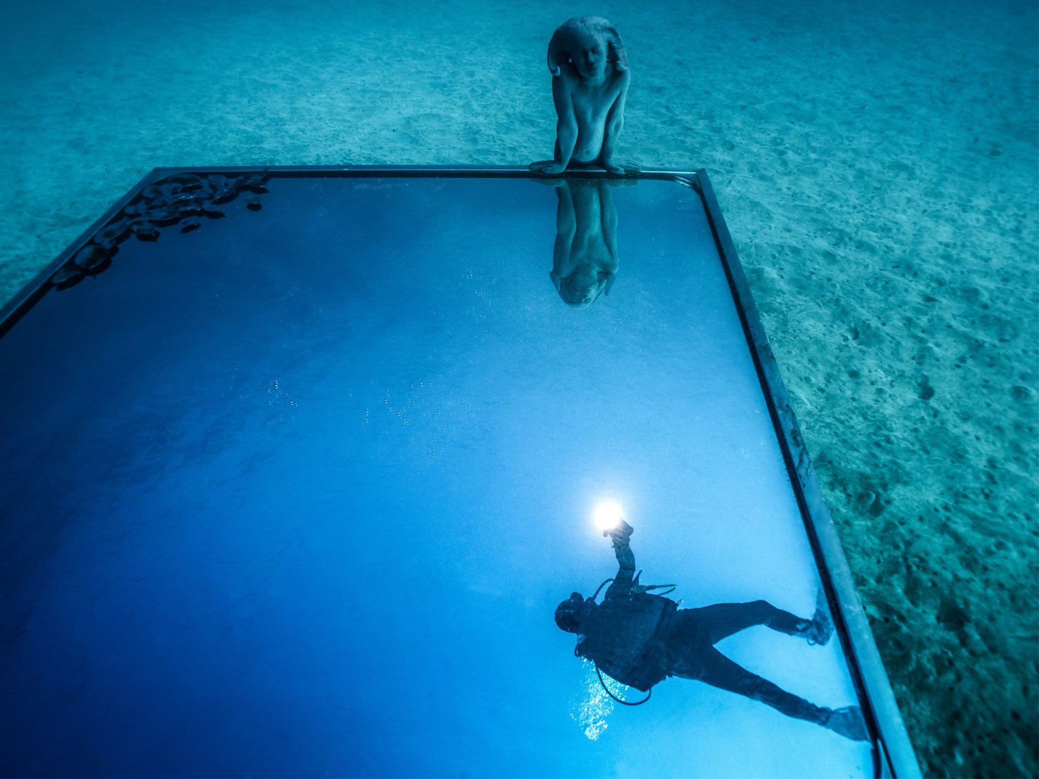 In Portal, a mirror reflects the moving surface of the ocean and contains 'living stations' designed to attract octopus, sea urchins and juvenile fish