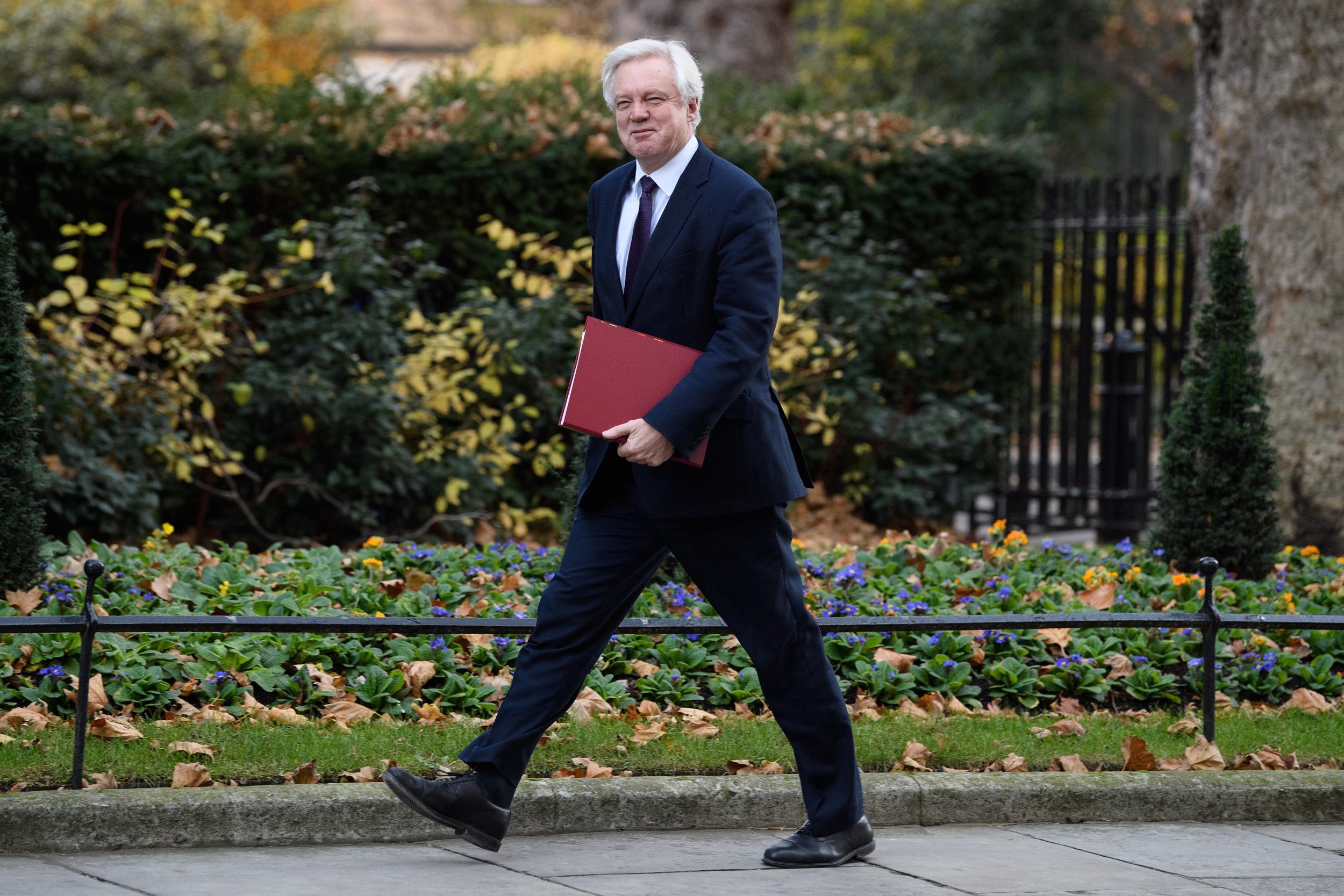 Brexit Secretary David Davis