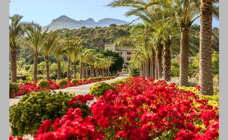 Gardens galore at Castell Son Claret