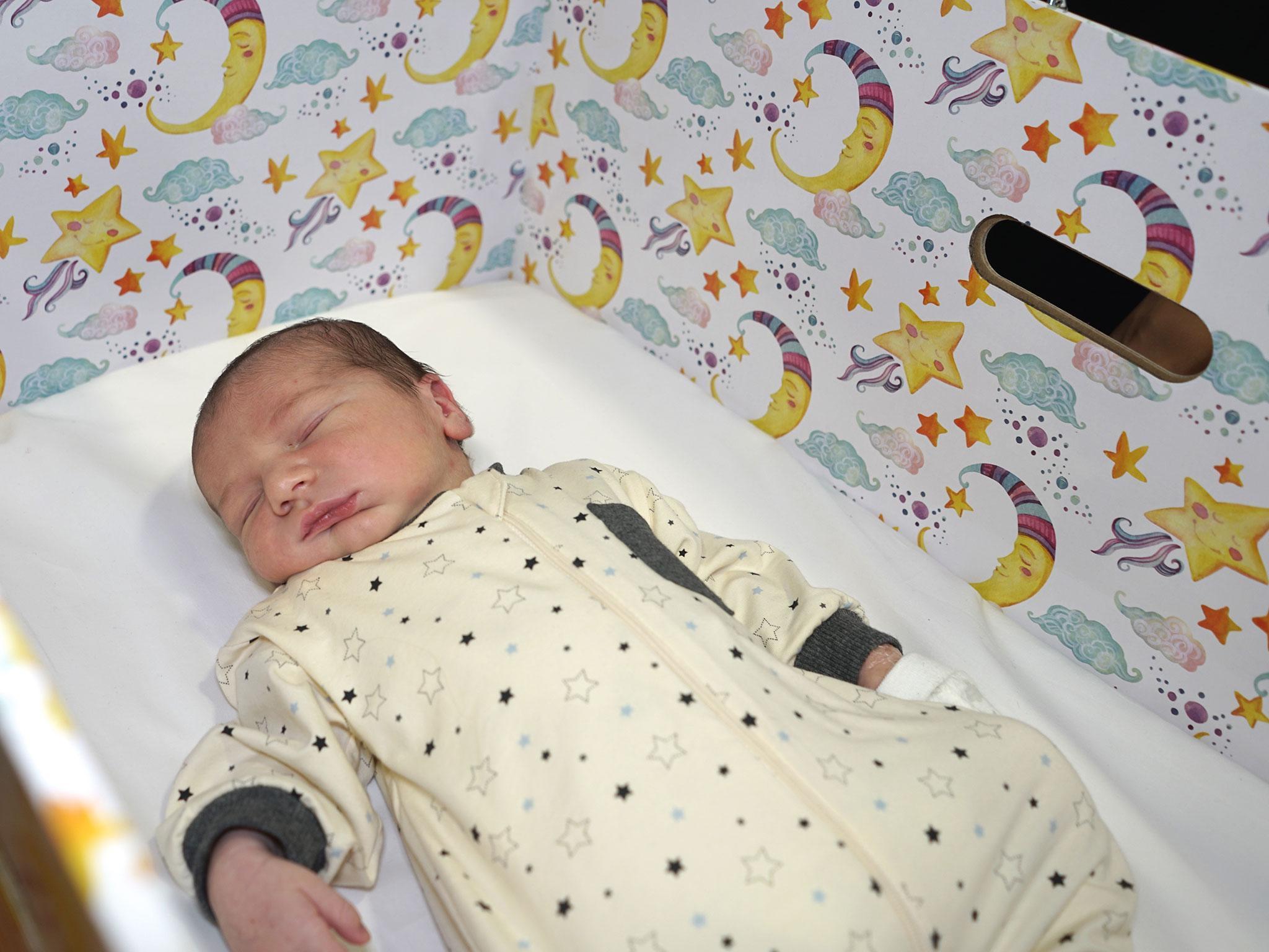 Babies are able to sleep in the boxes in their first few months