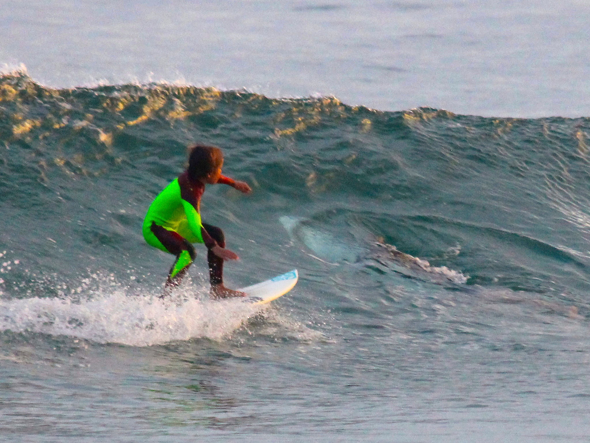 10-year-old Eden Hasson surfs near what is believed to be a great white shark at Samurai Beach, Port Stephens, Australia